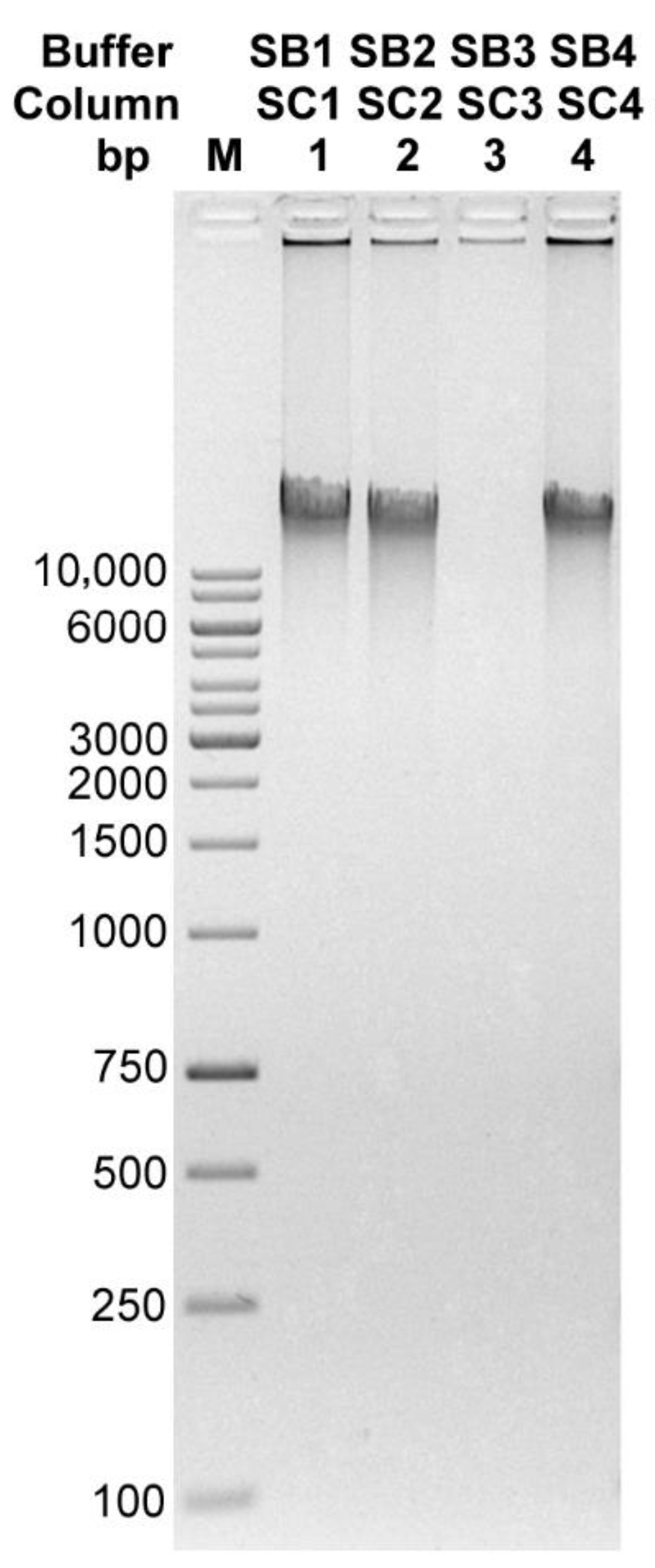 Microorganisms 10 01782 g005