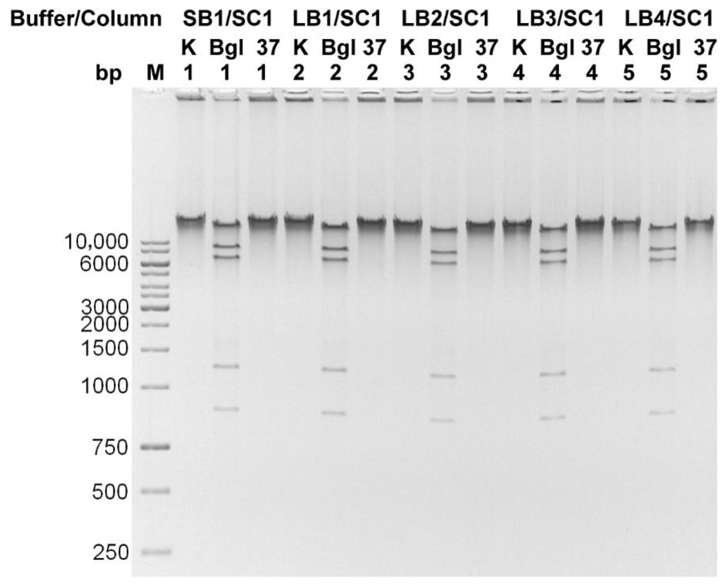 Microorganisms 10 01782 g007