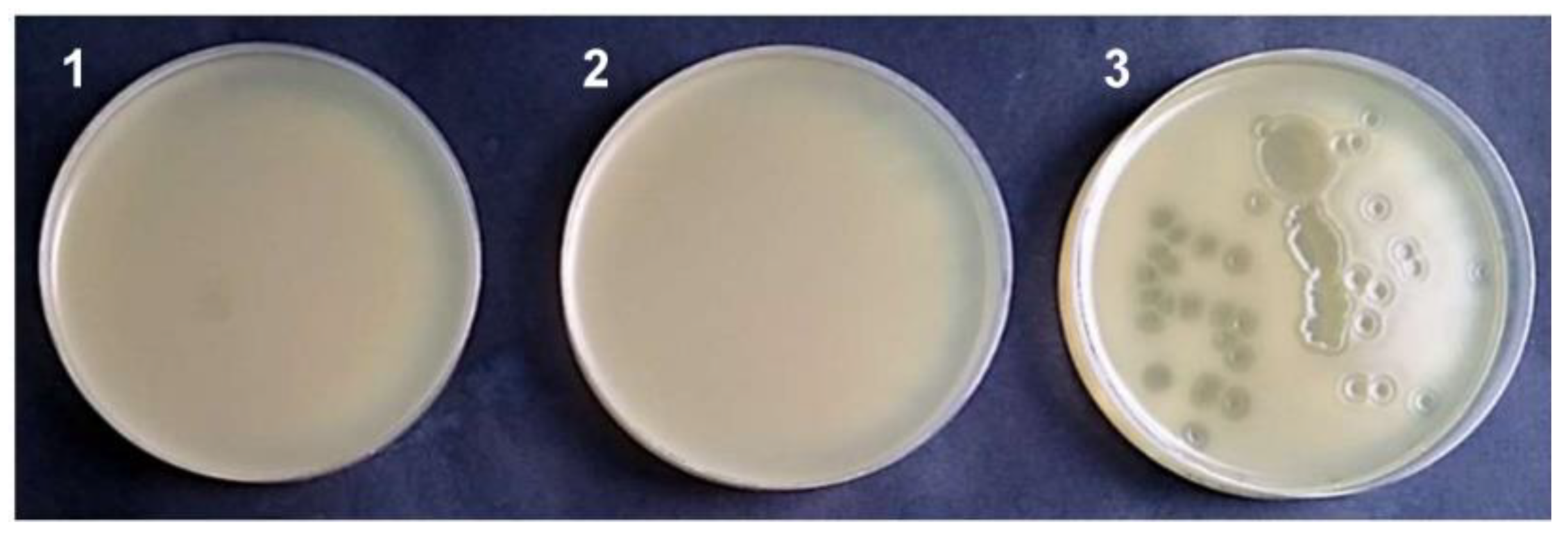 Microorganisms 10 01782 g008