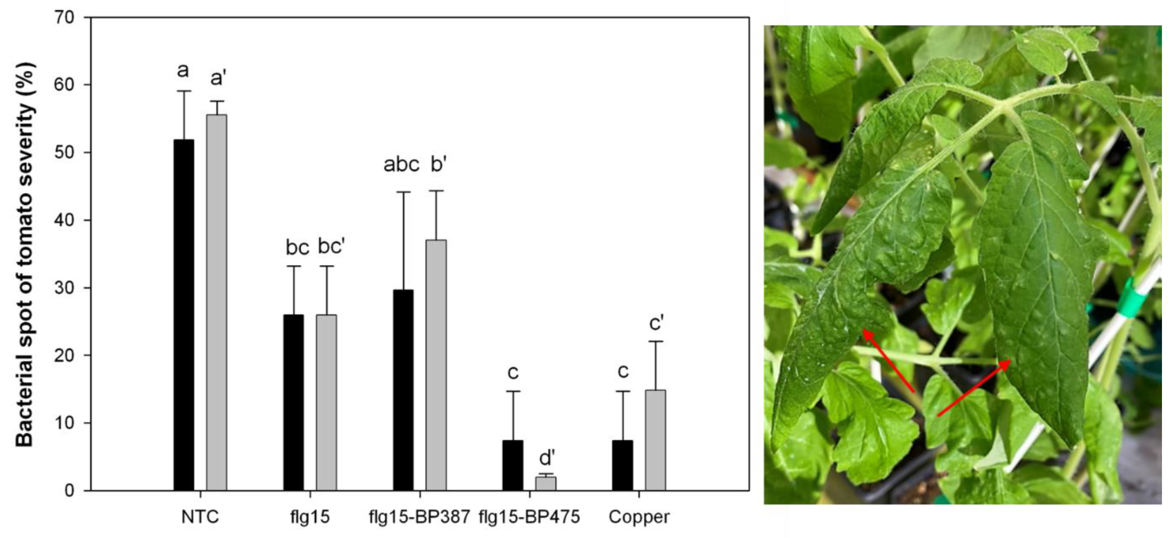 Microorganisms 10 01784 g005