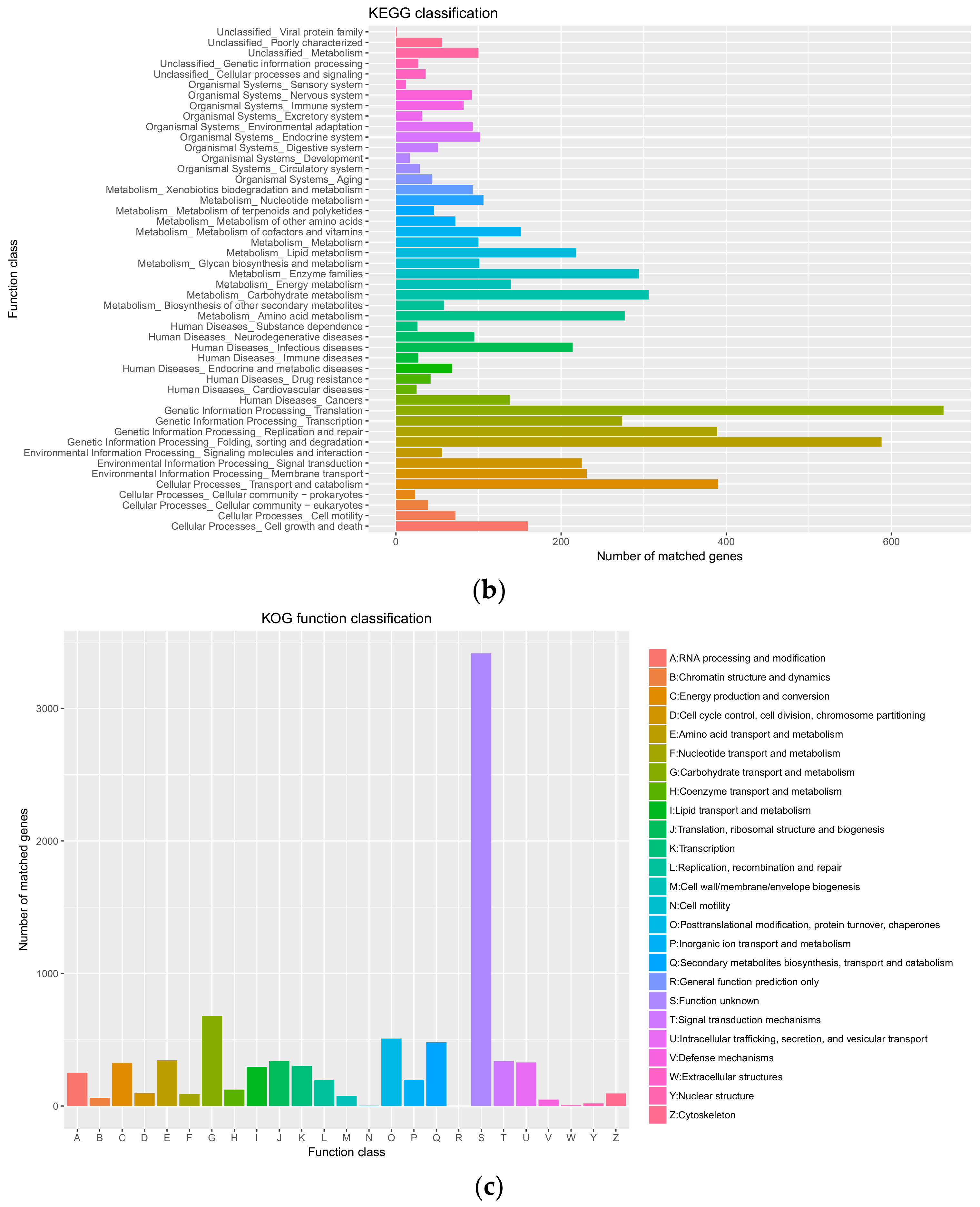 Microorganisms 10 01789 g003b