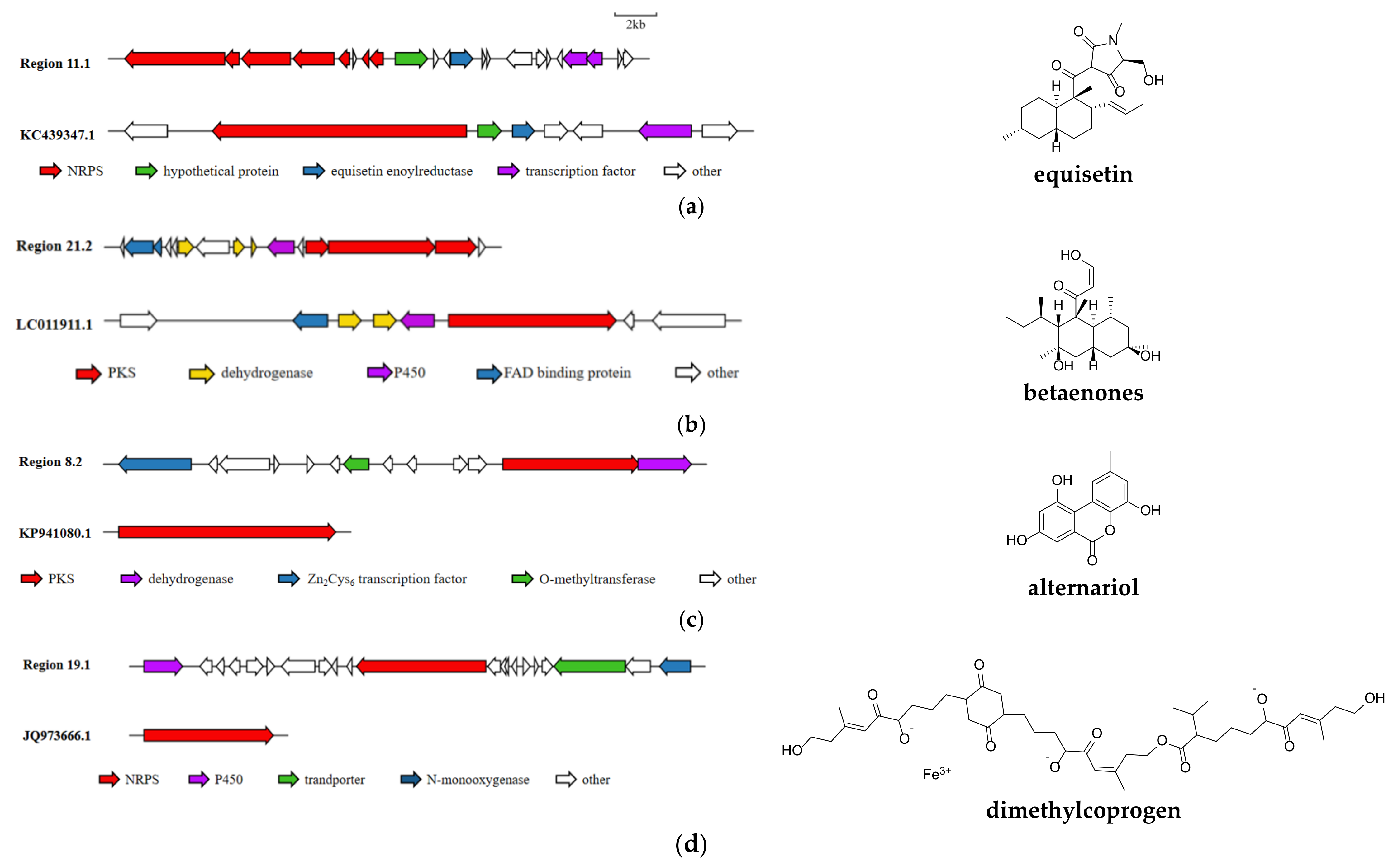 Microorganisms 10 01789 g007a
