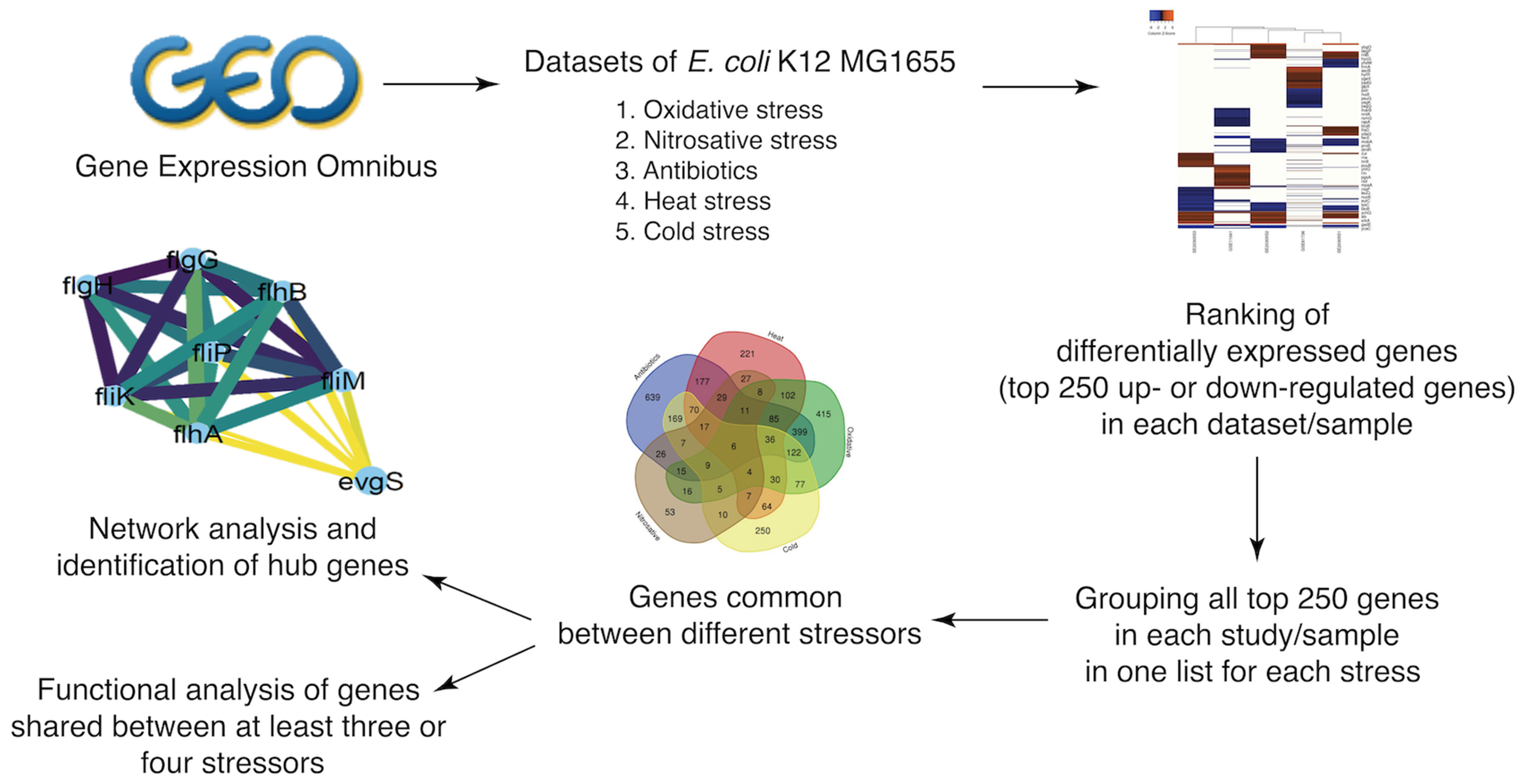 ybaY protein (Escherichia coli K12) - STRING interaction network