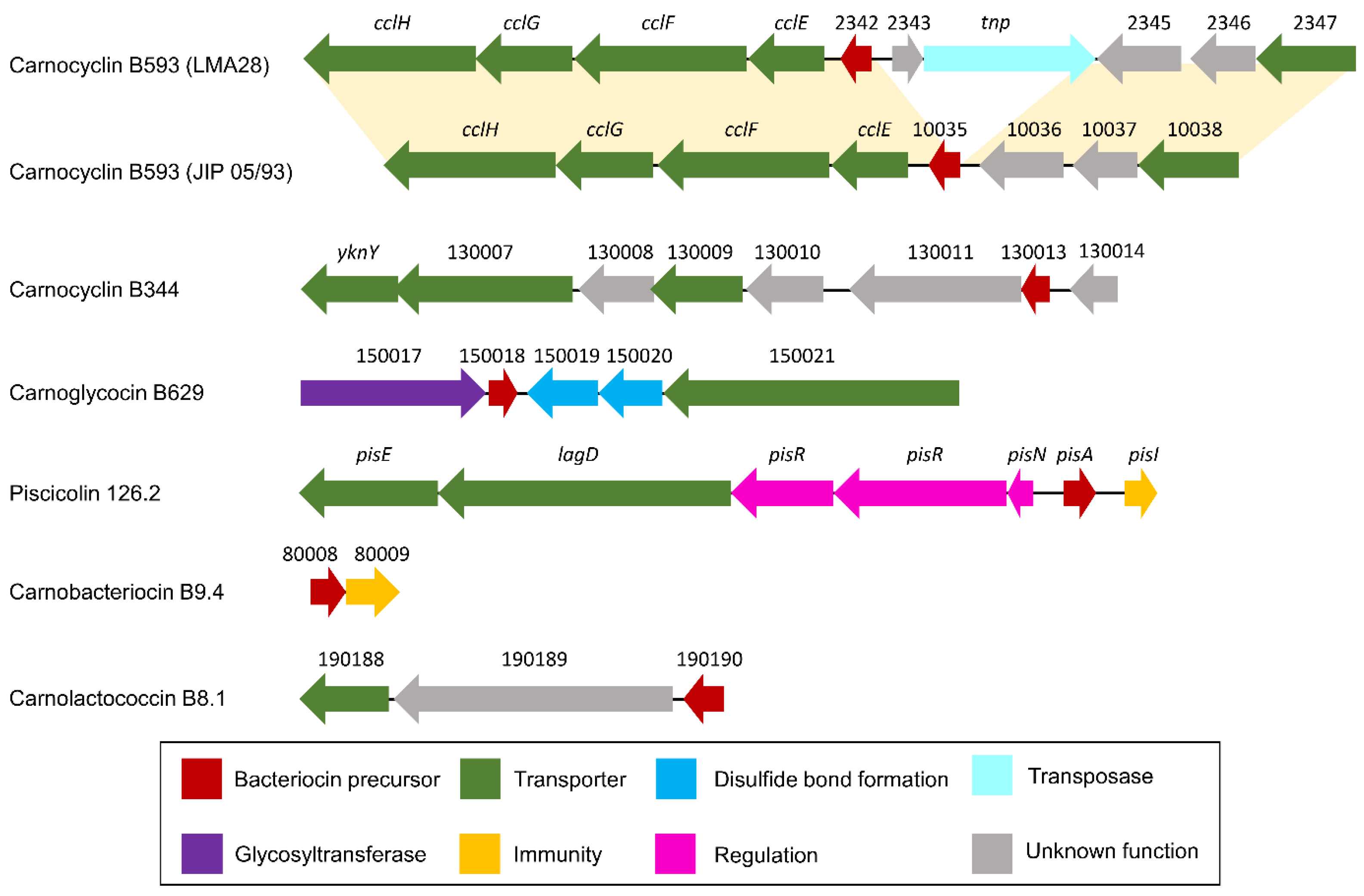 Microorganisms 10 01794 g006