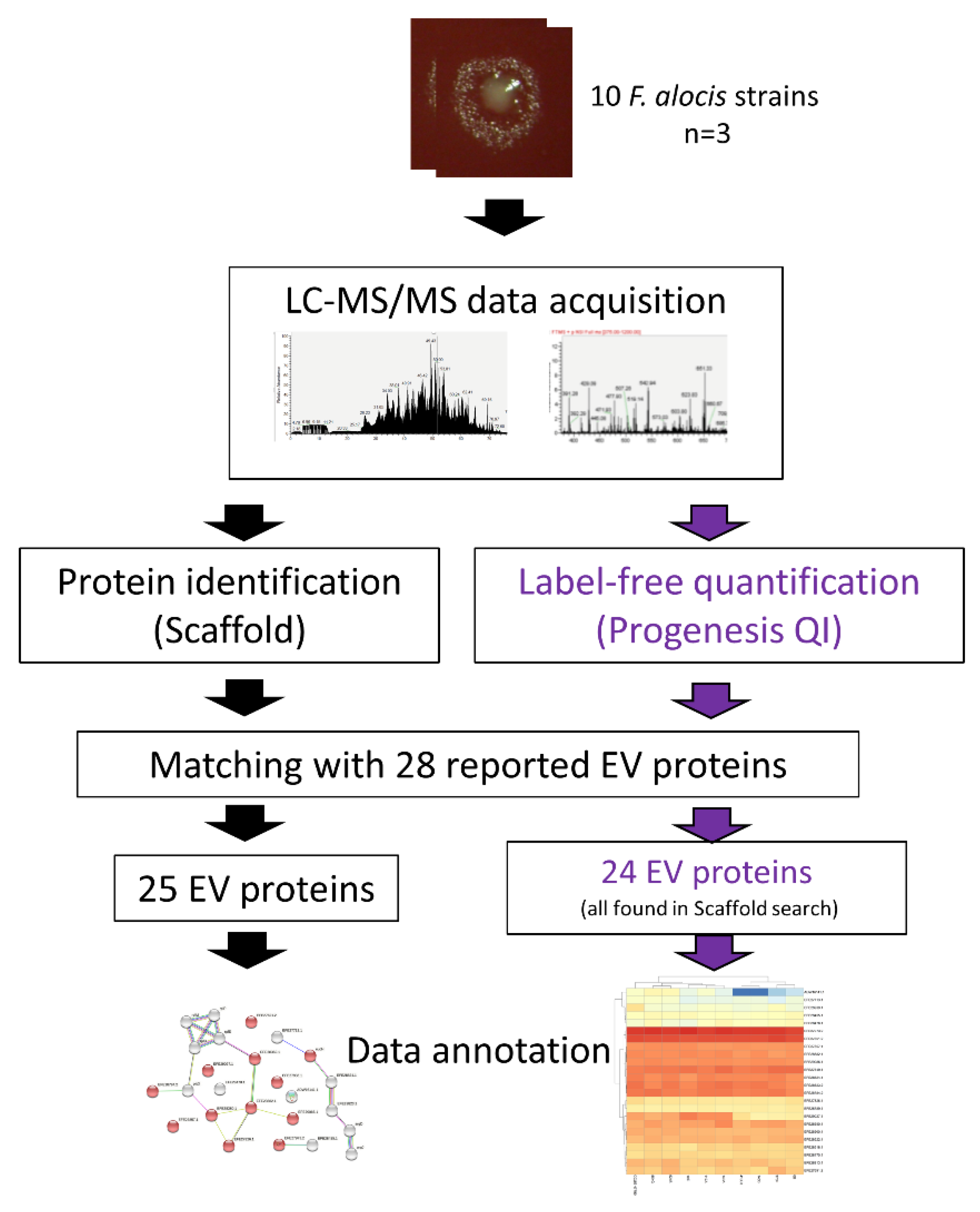 Microorganisms, Free Full-Text