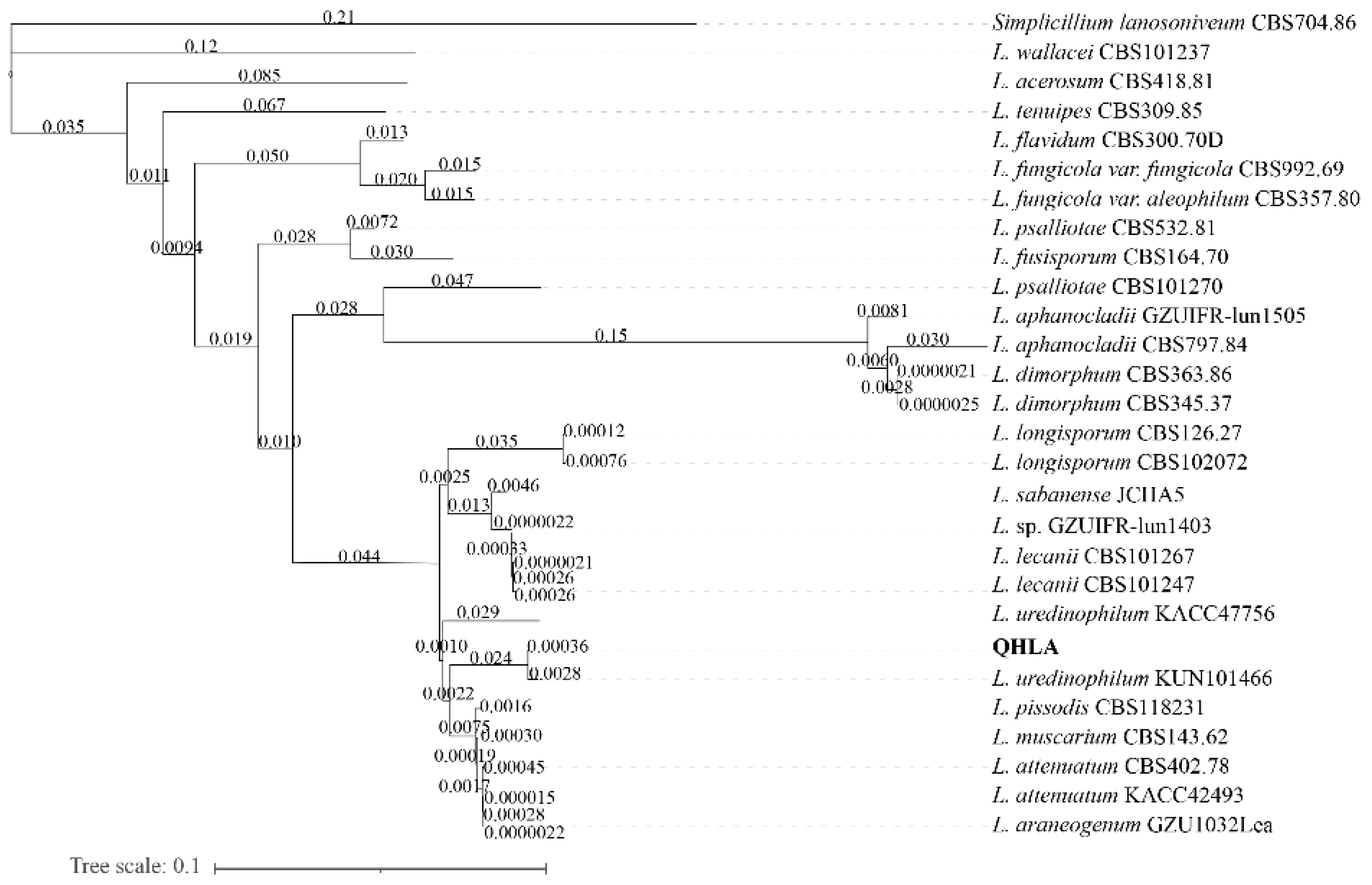 Microorganisms 10 01832 g002 Microorganisms 10 01832 g002