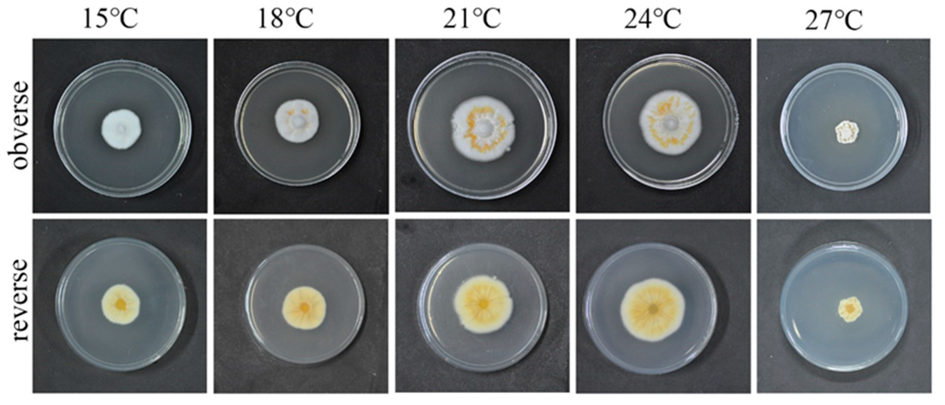 Microorganisms 10 01832 g003 Microorganisms 10 01832 g003