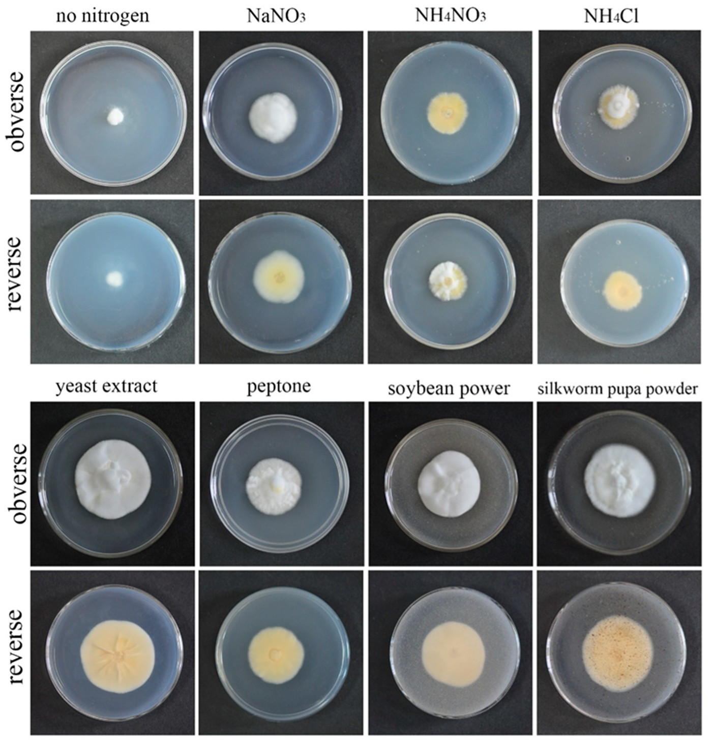 Microorganisms 10 01832 g004 Microorganisms 10 01832 g004