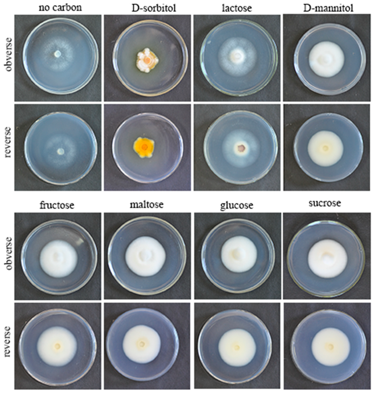 Microorganisms 10 01832 g005 Microorganisms 10 01832 g005