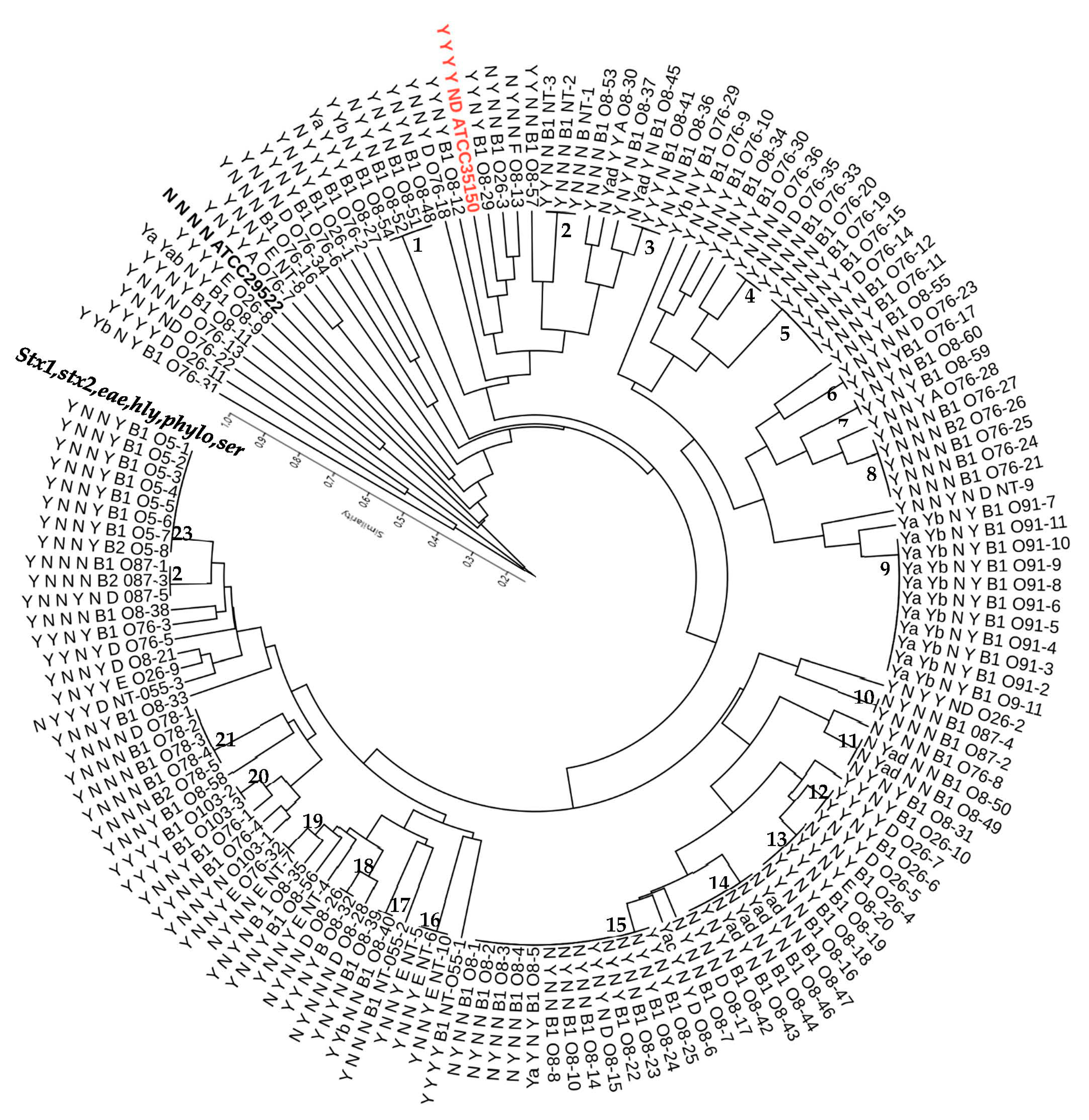 Microorganisms 10 01842 g004