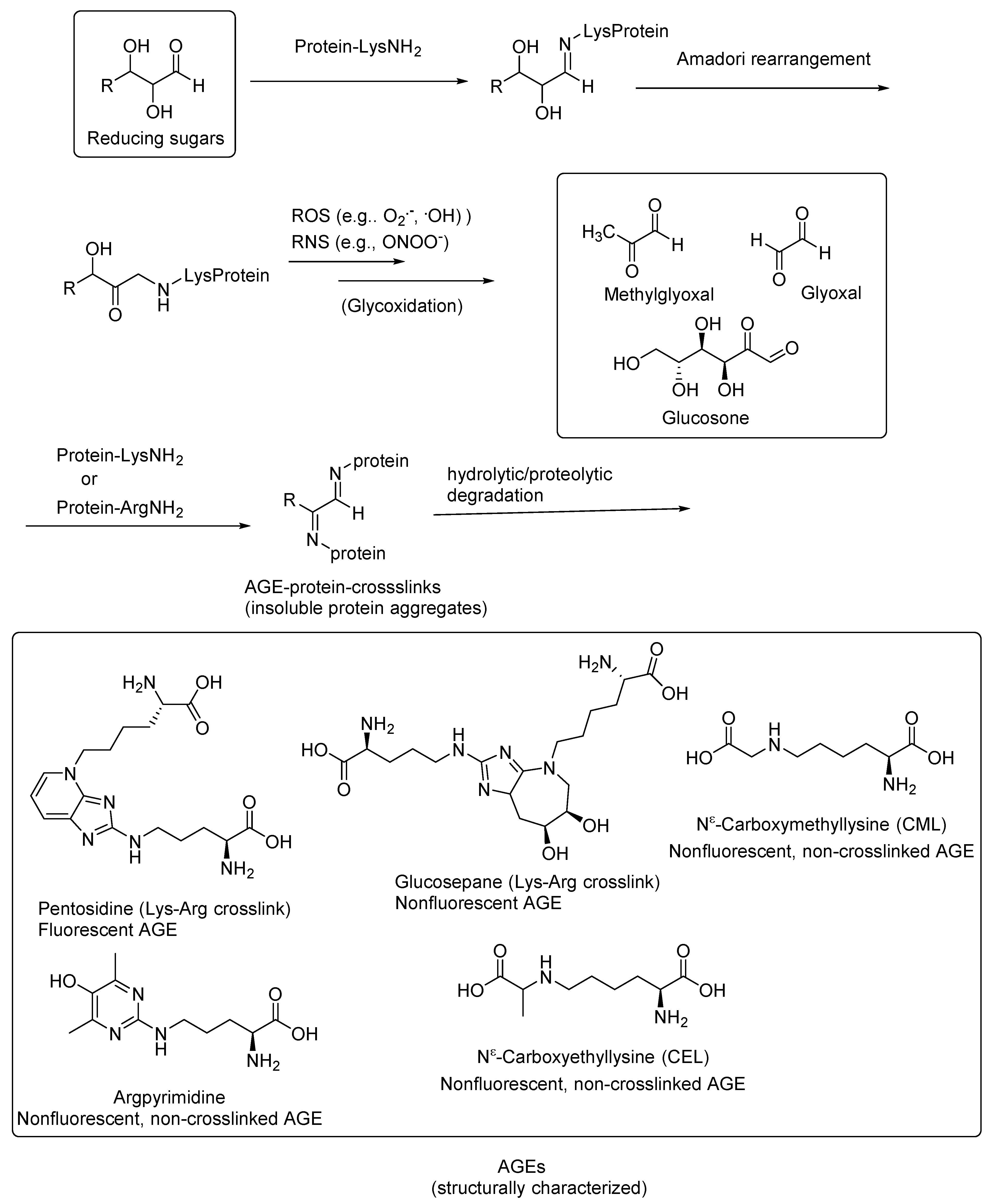 Microorganisms 10 01848 g001 Microorganisms 10 01848 g001
