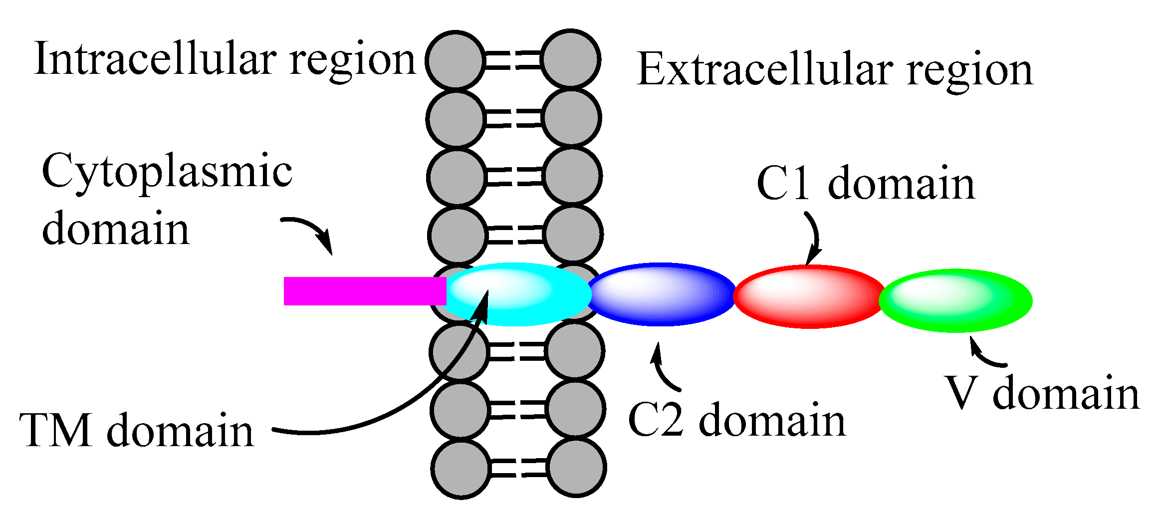 Microorganisms 10 01848 g003 Microorganisms 10 01848 g003