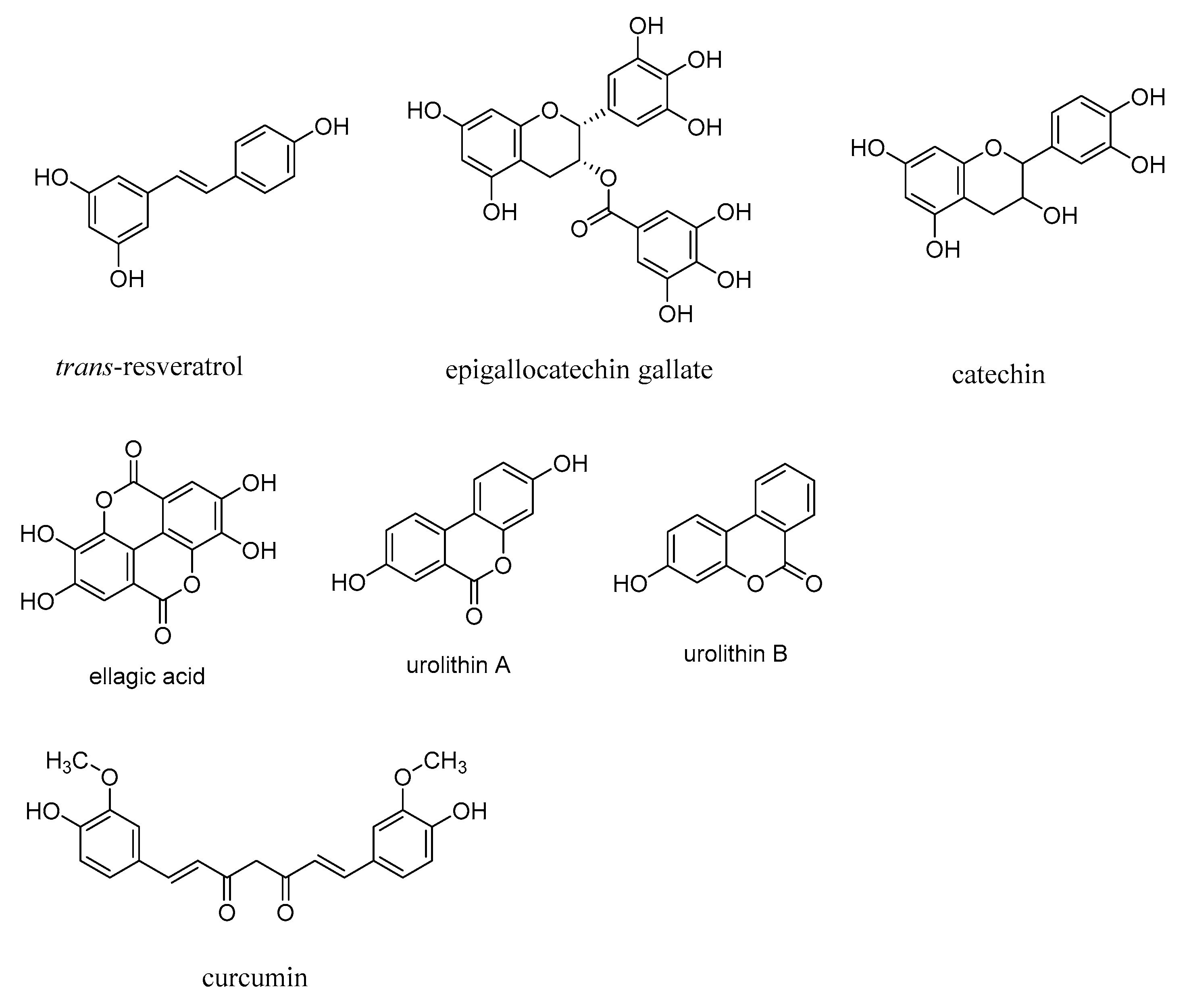 Microorganisms 10 01848 g010 Microorganisms 10 01848 g010
