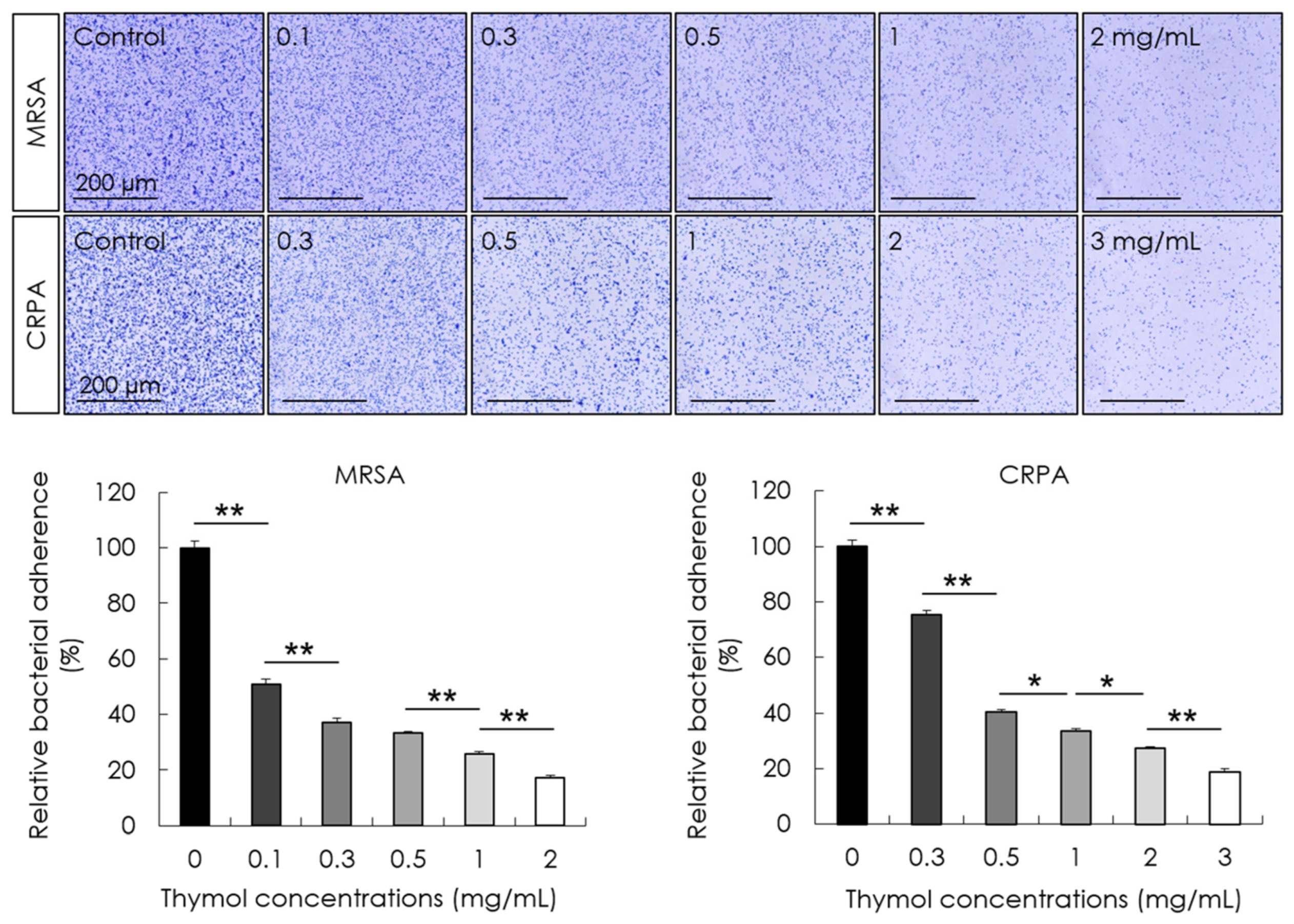 Microorganisms 10 01867 g002