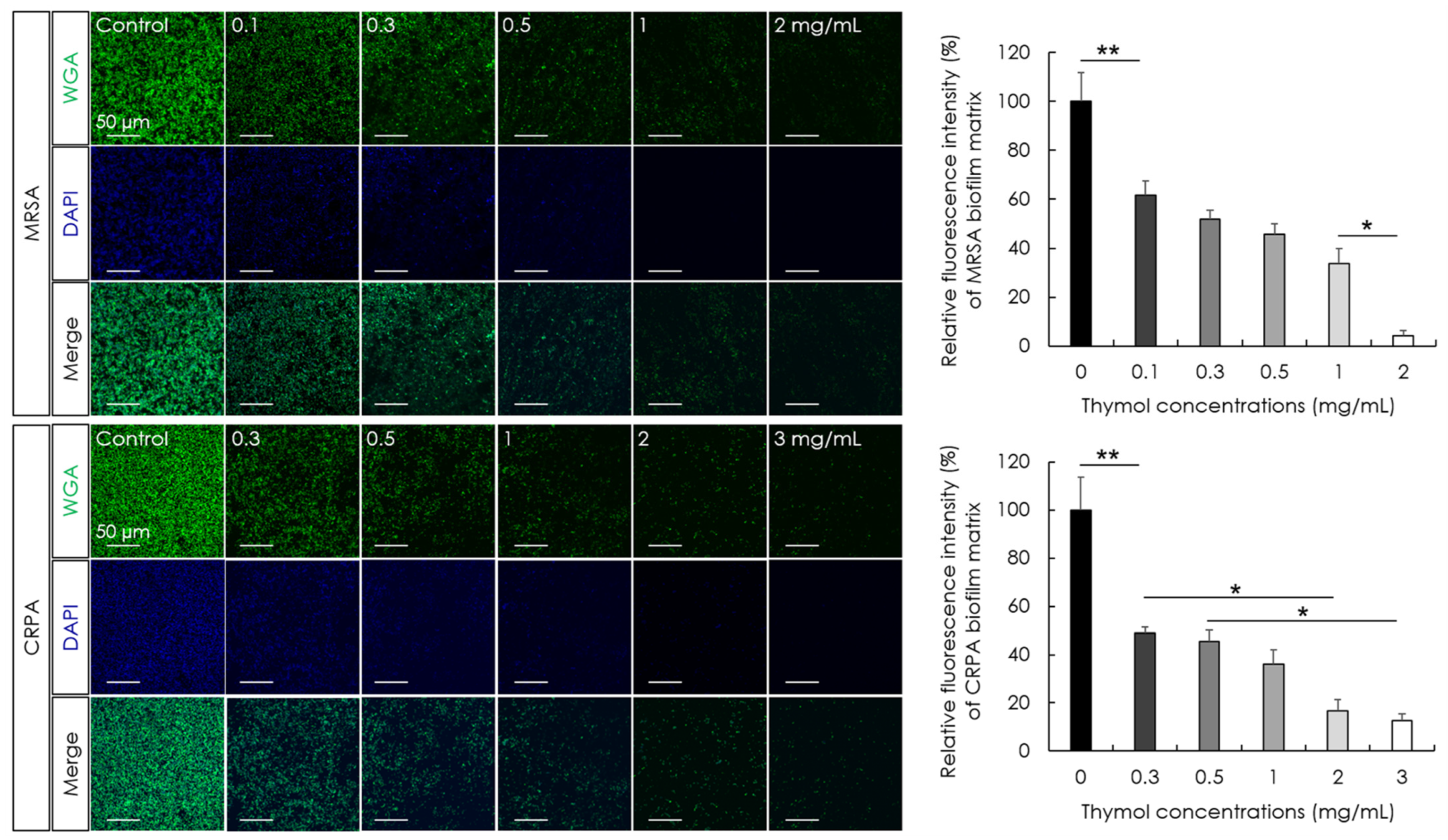 Microorganisms 10 01867 g005
