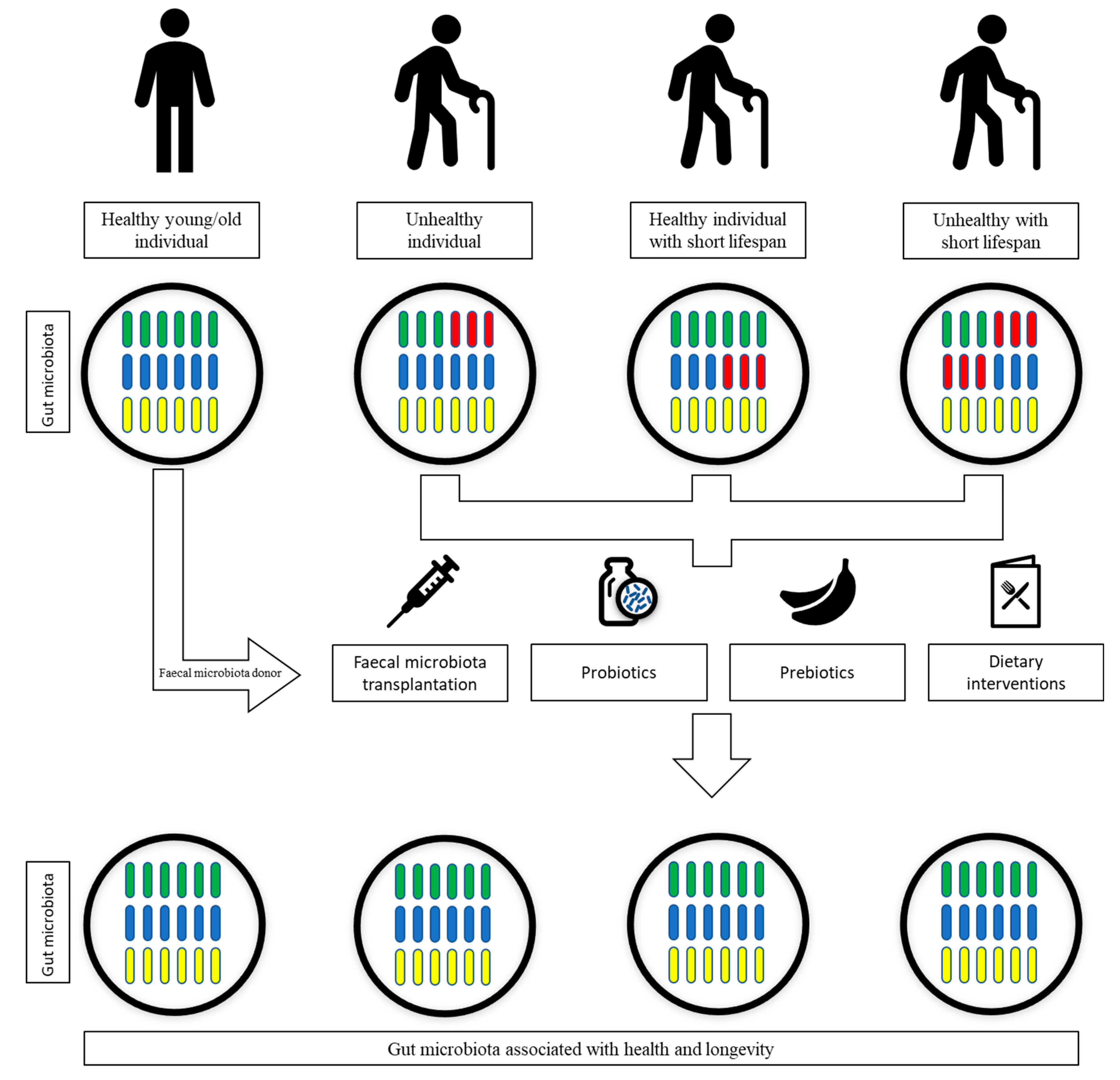 Microorganisms | Free Full-Text | The Use Of Gut Microbial Modulation ...