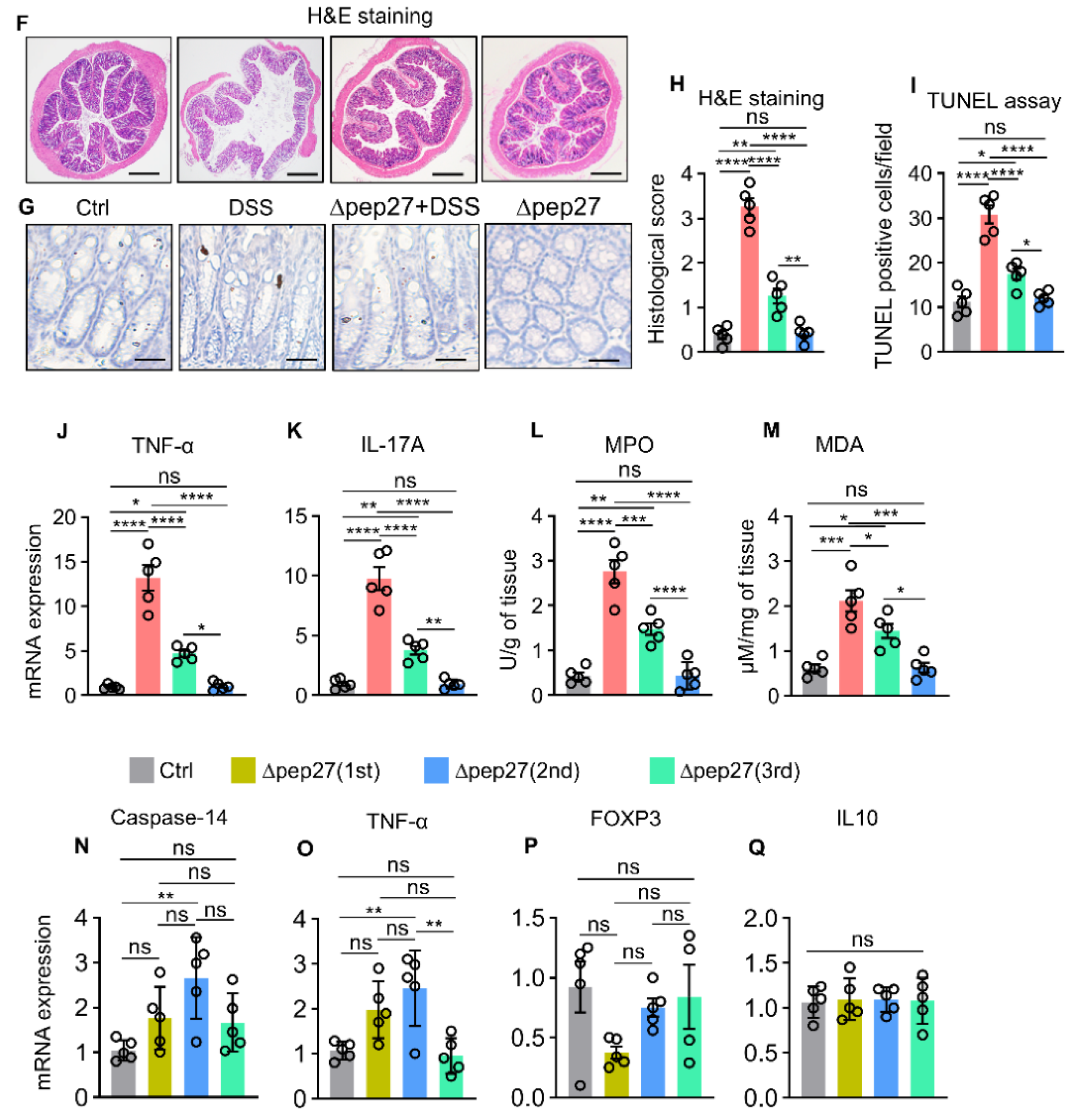 Microorganisms 10 01871 g001b