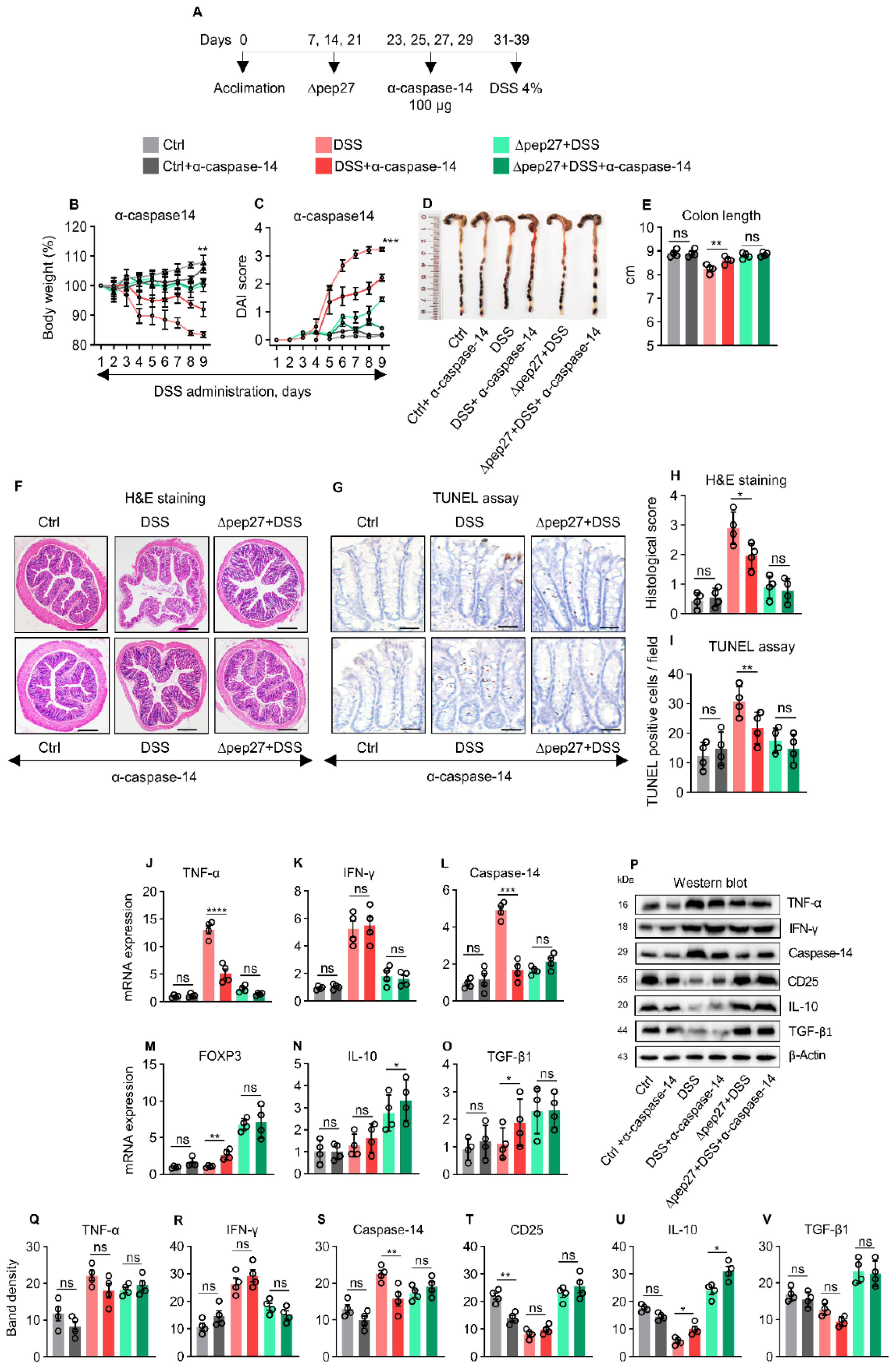 Microorganisms 10 01871 g005