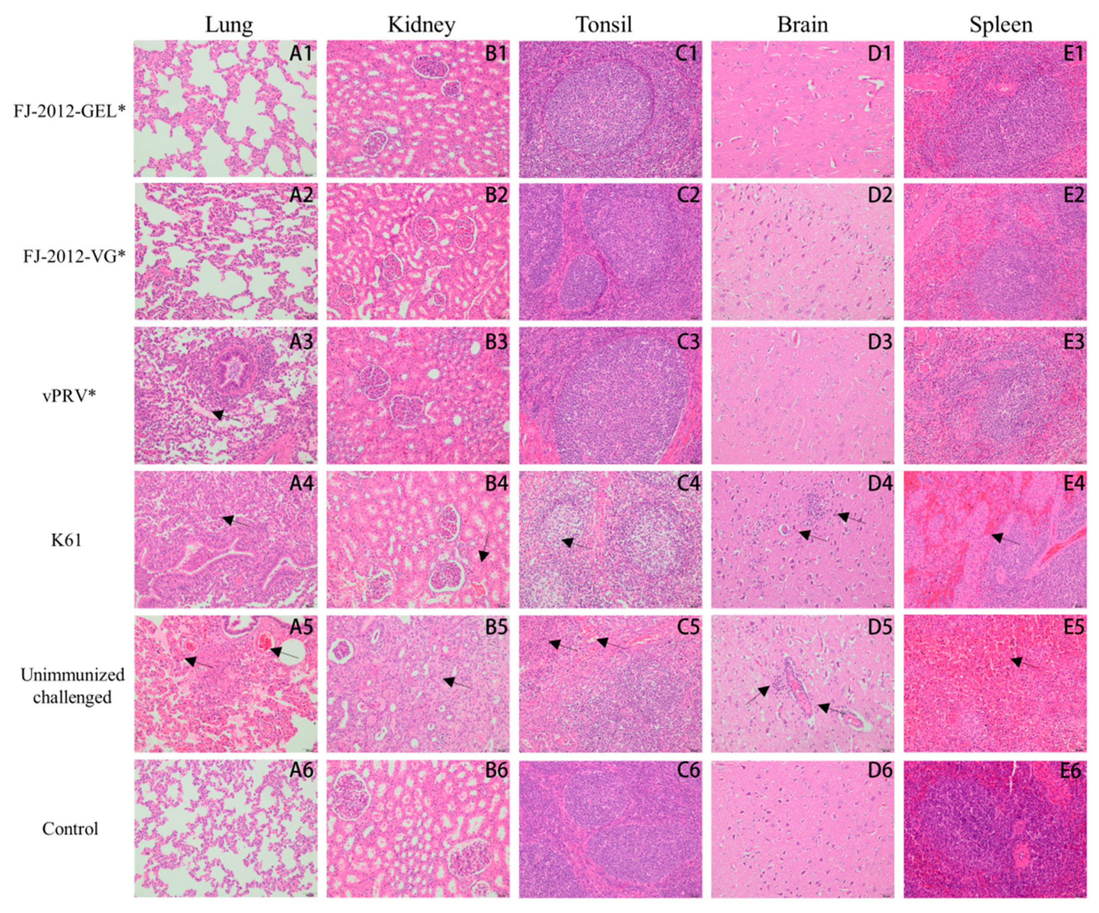 Microorganisms 10 01880 g004