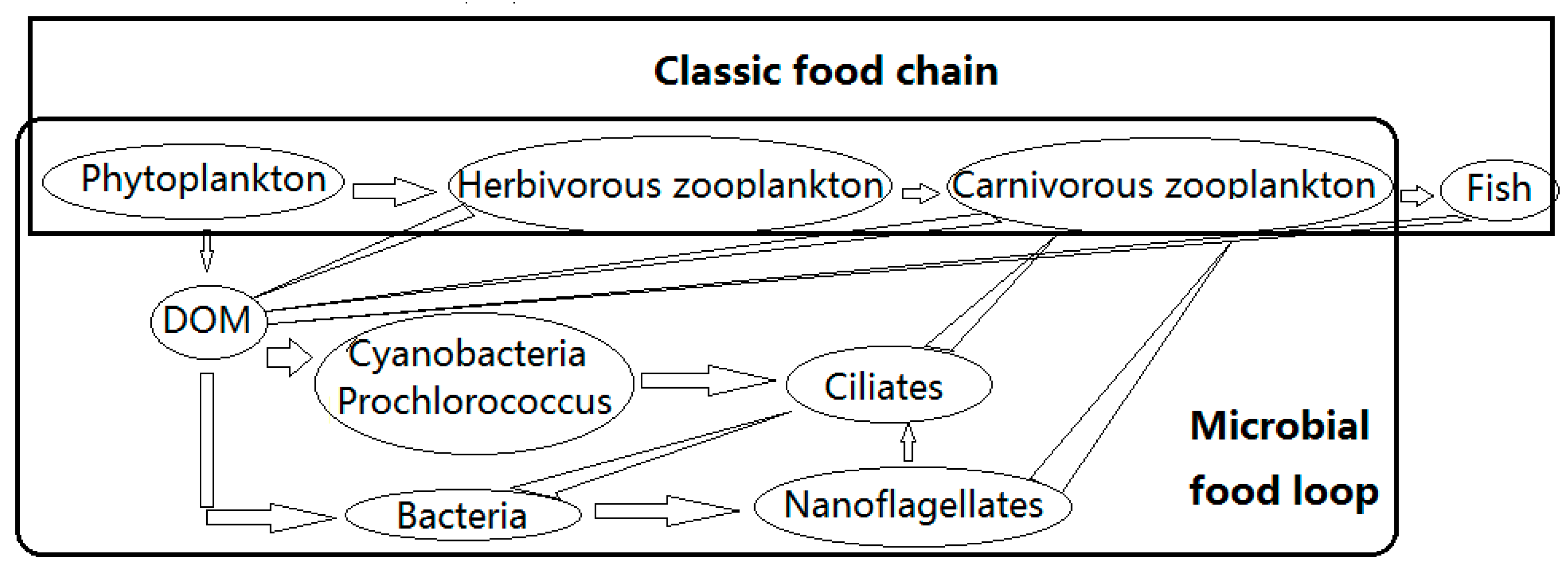 Microorganisms 10 01941 g001