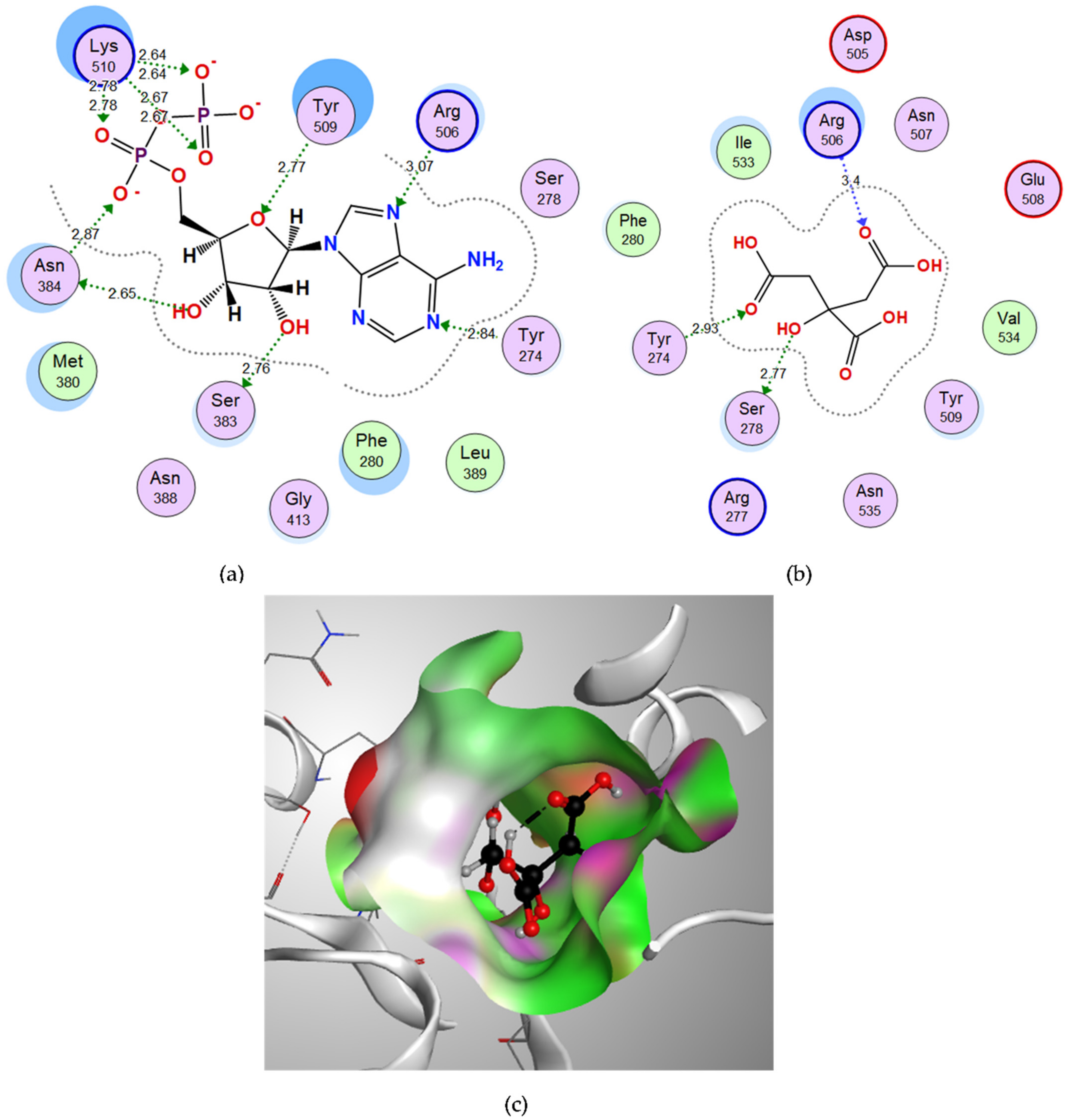 Microorganisms 10 01973 g004 Microorganisms 10 01973 g004