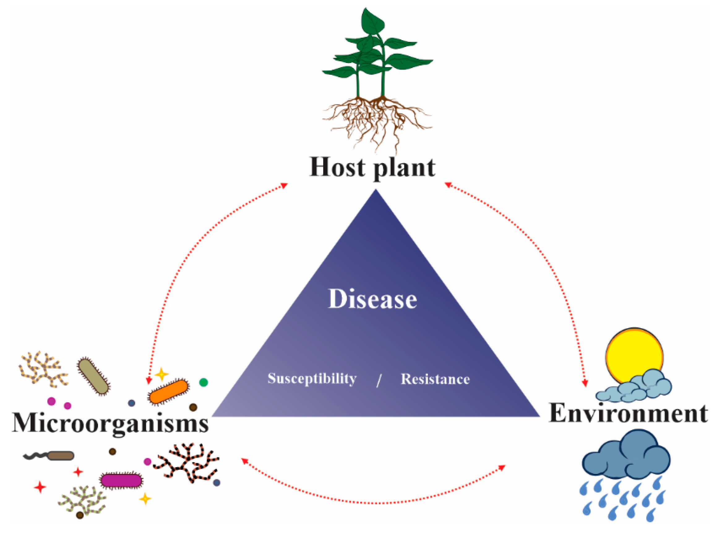 Microorganisms, Free Full-Text