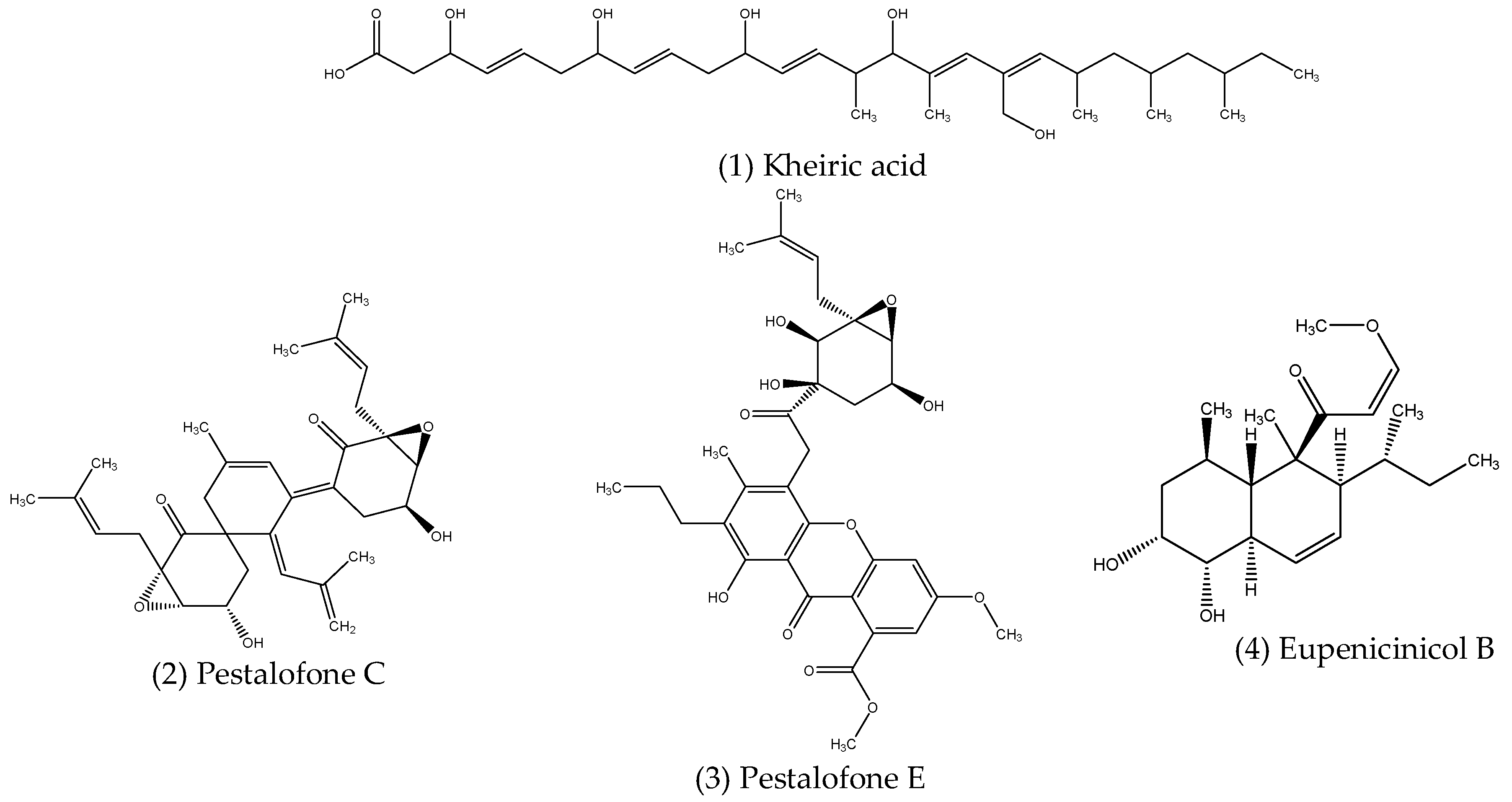 Microorganisms 10 01990 g001