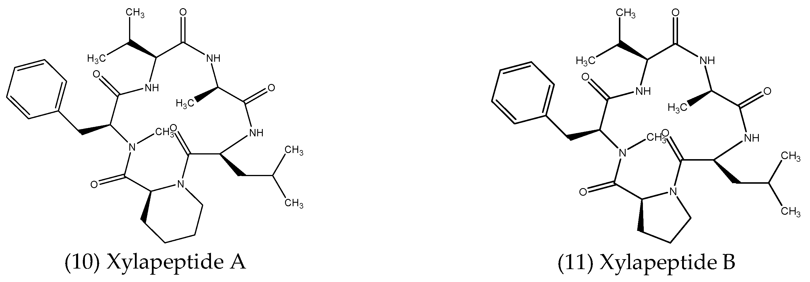 Microorganisms 10 01990 g003