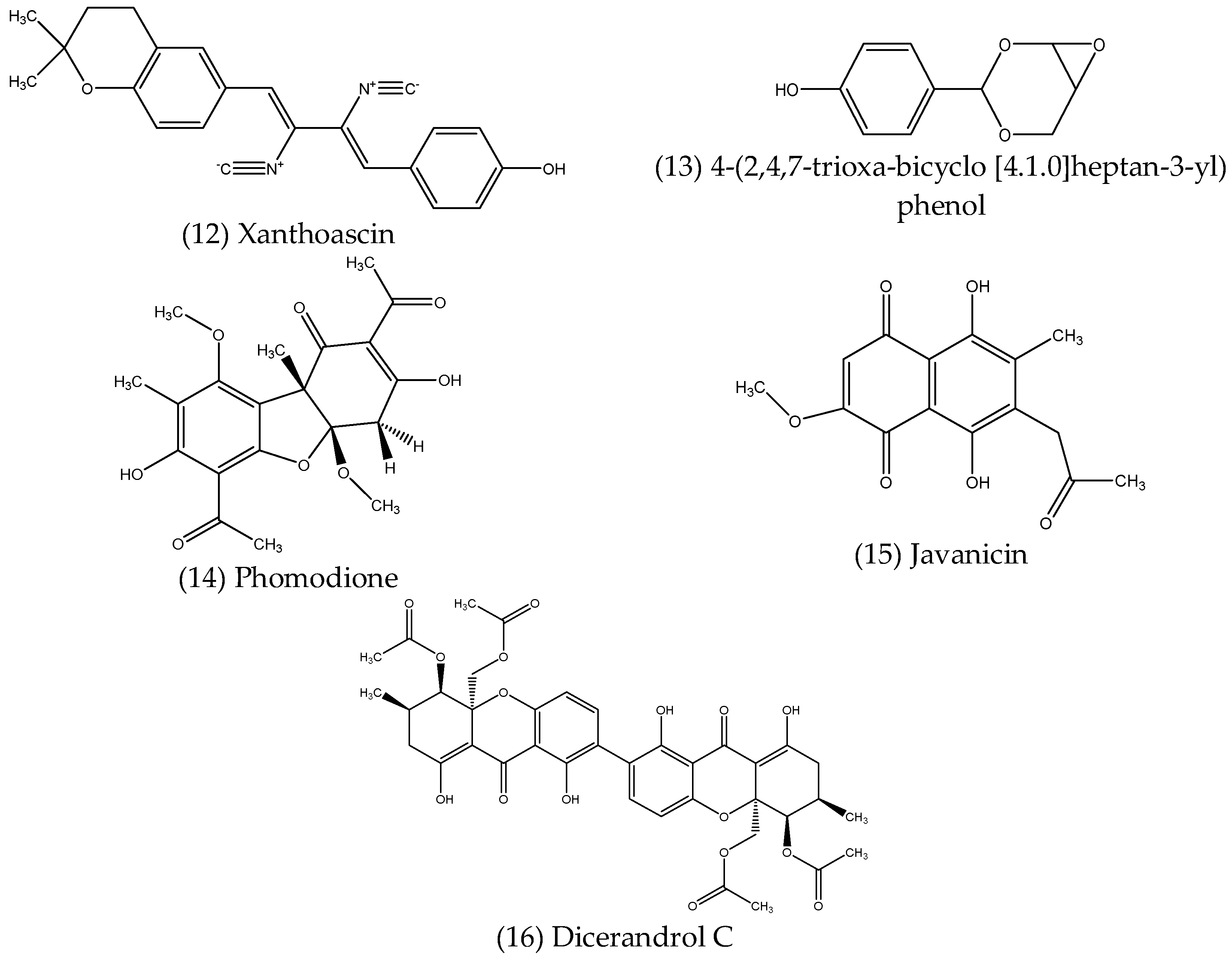 Microorganisms 10 01990 g004