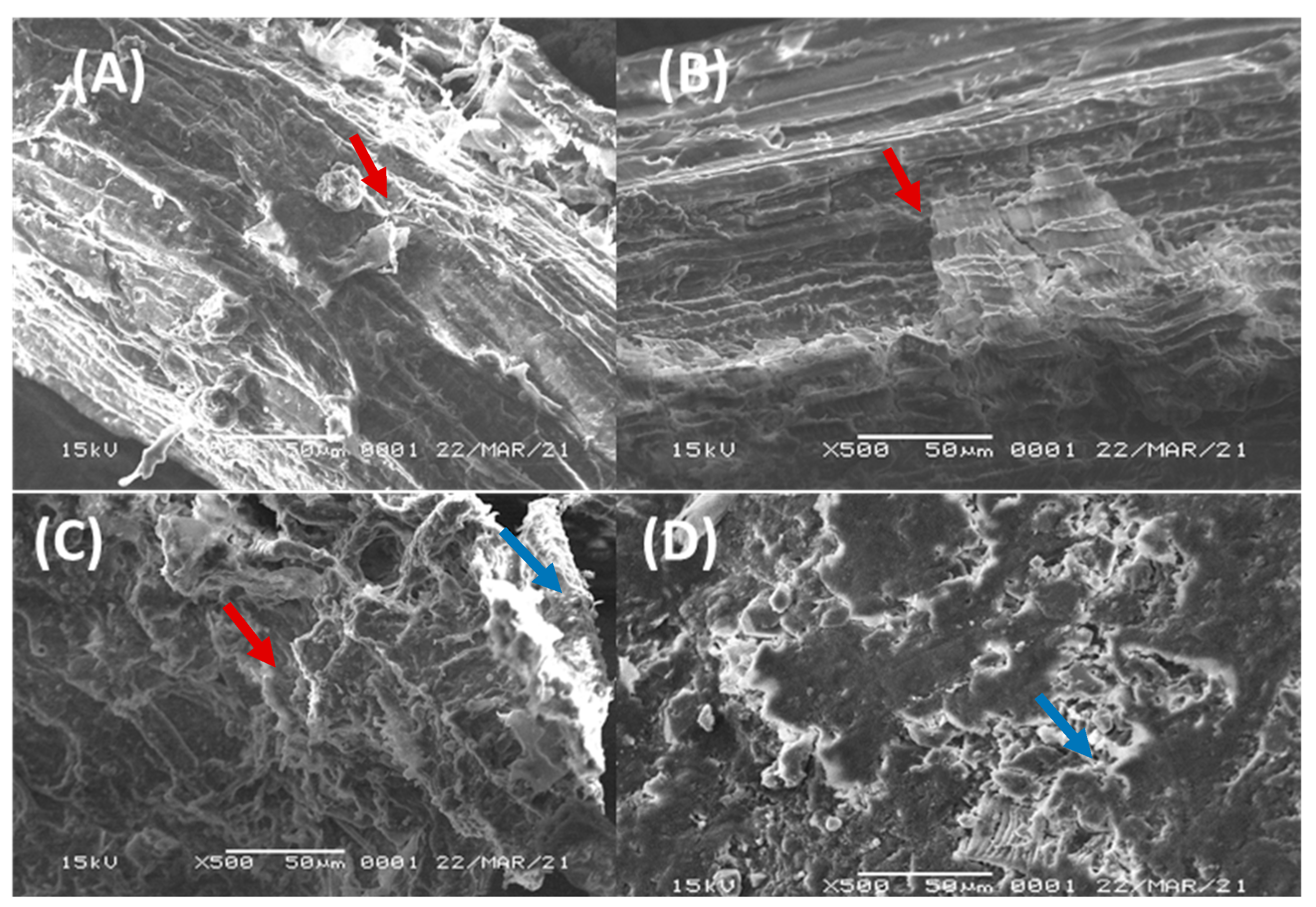 Microorganisms 10 02036 g004 Microorganisms 10 02036 g004