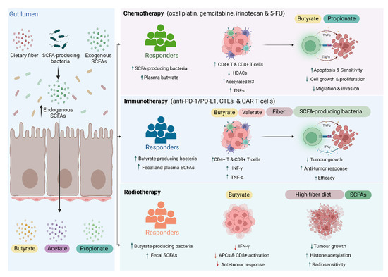 Frontiers  Acetate Revisited: A Key Biomolecule at the Nexus of  Metabolism, Epigenetics, and Oncogenesis – Part 2: Acetate and ACSS2 in  Health and Disease