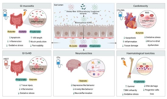 Frontiers  Acetate Revisited: A Key Biomolecule at the Nexus of  Metabolism, Epigenetics, and Oncogenesis – Part 2: Acetate and ACSS2 in  Health and Disease