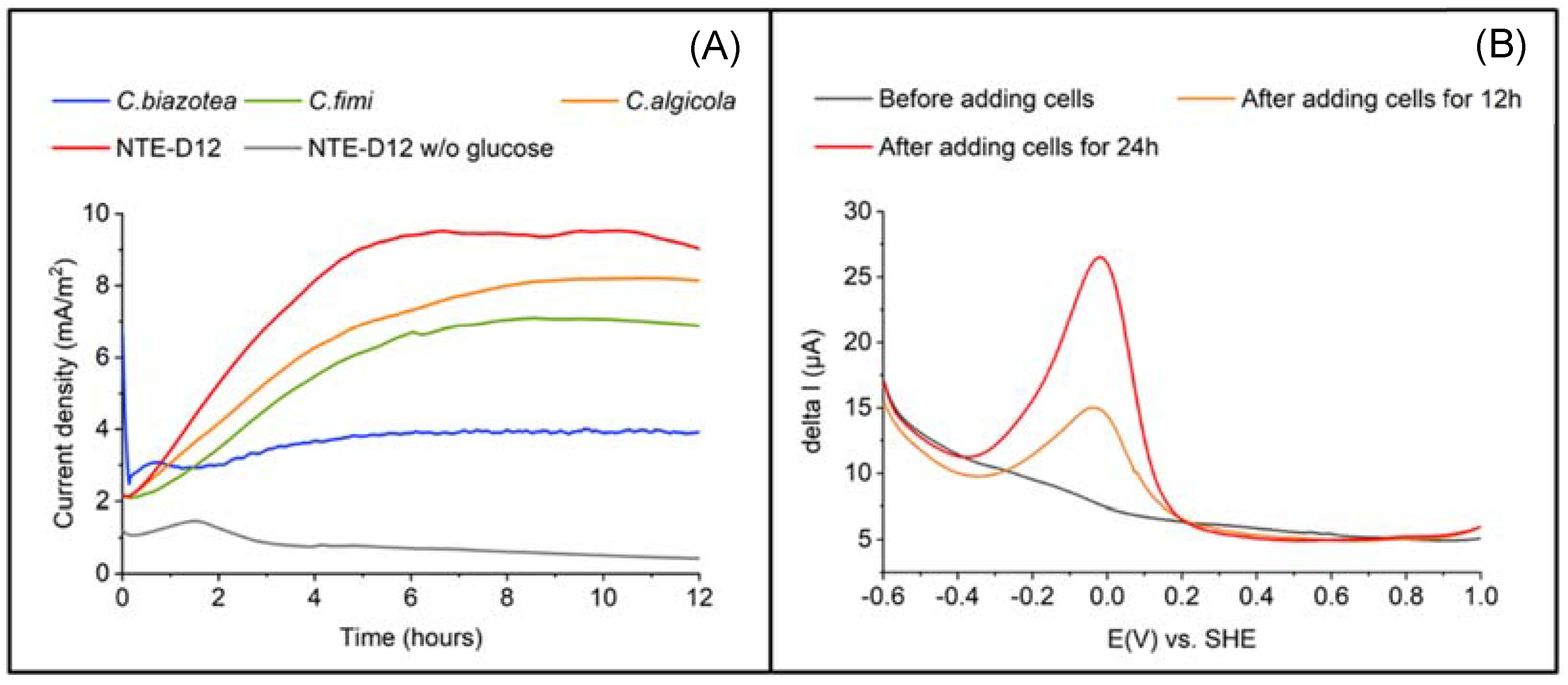 Microorganisms 10 02051 g003 Microorganisms 10 02051 g003
