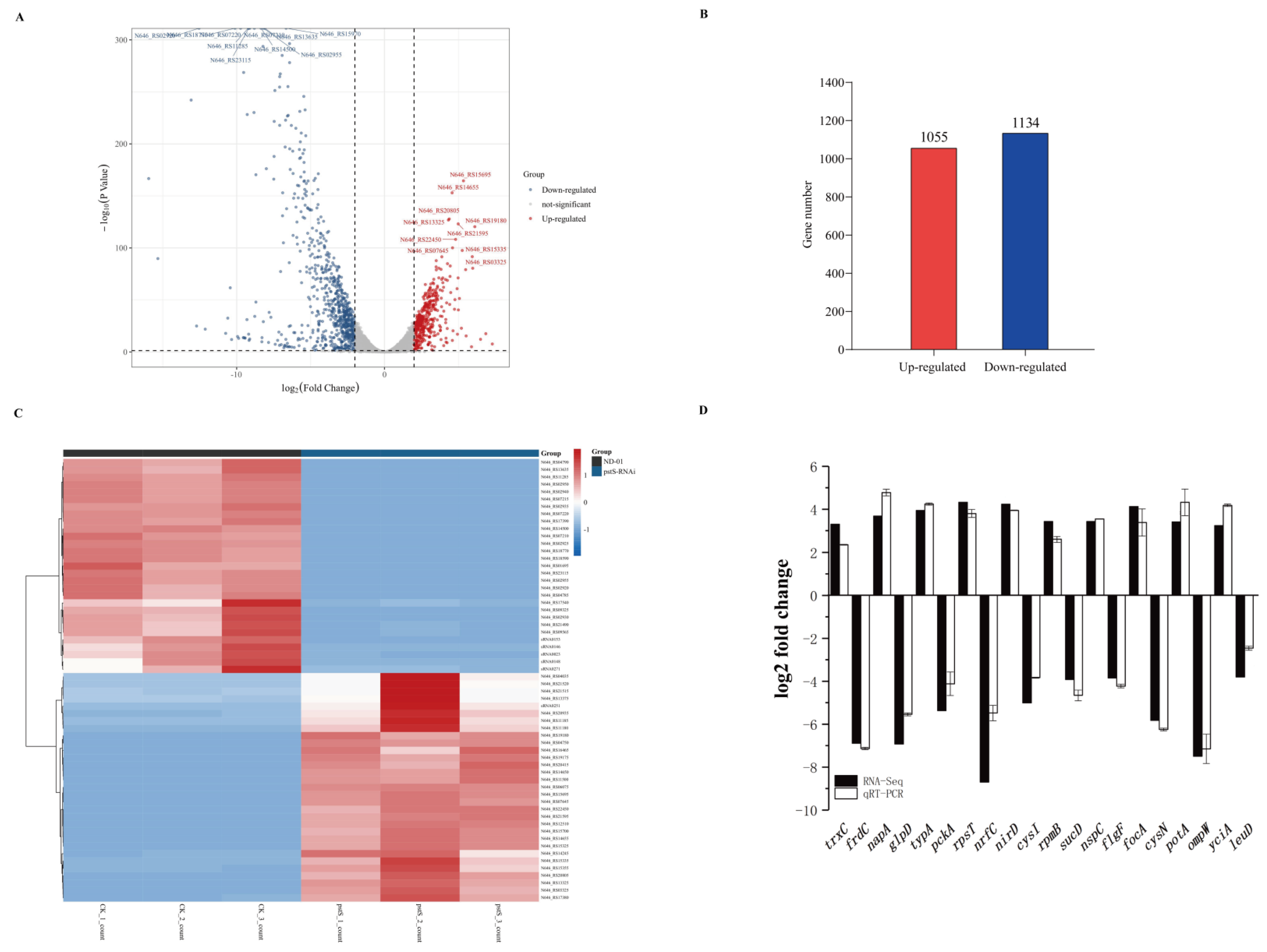 Microorganisms 10 02093 g006