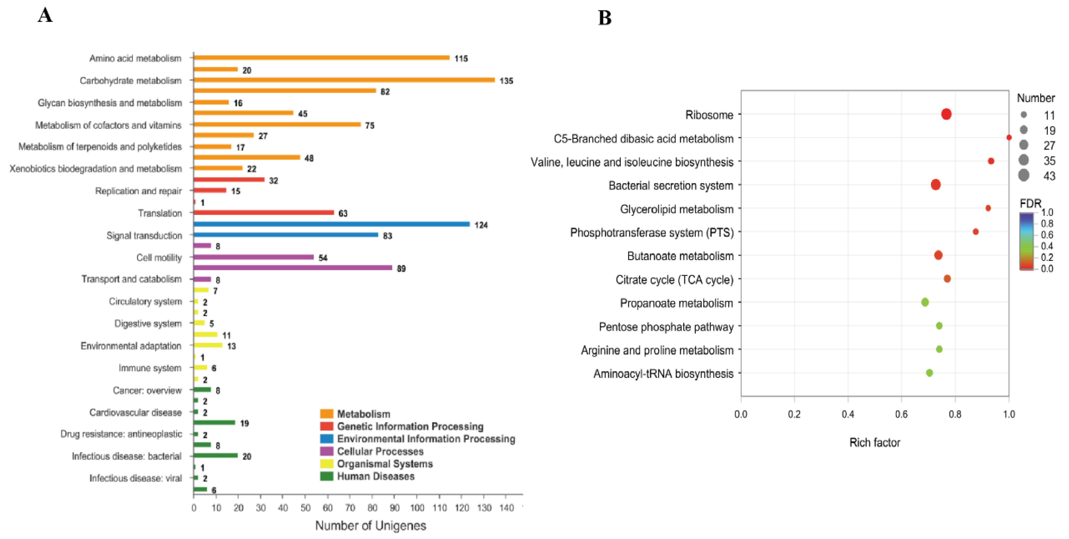 Microorganisms 10 02093 g008