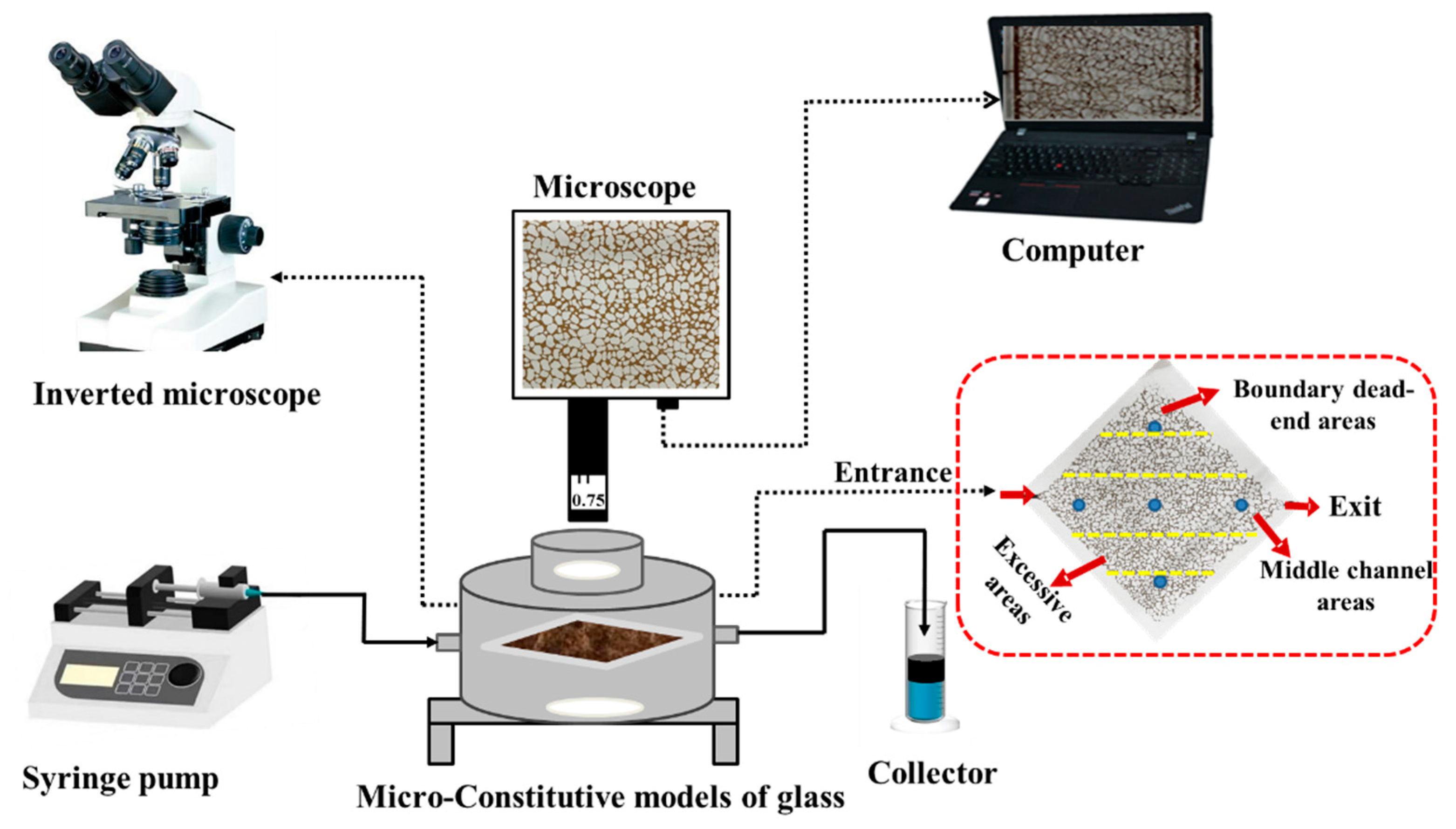 Microorganisms 10 02104 g001 Microorganisms 10 02104 g001