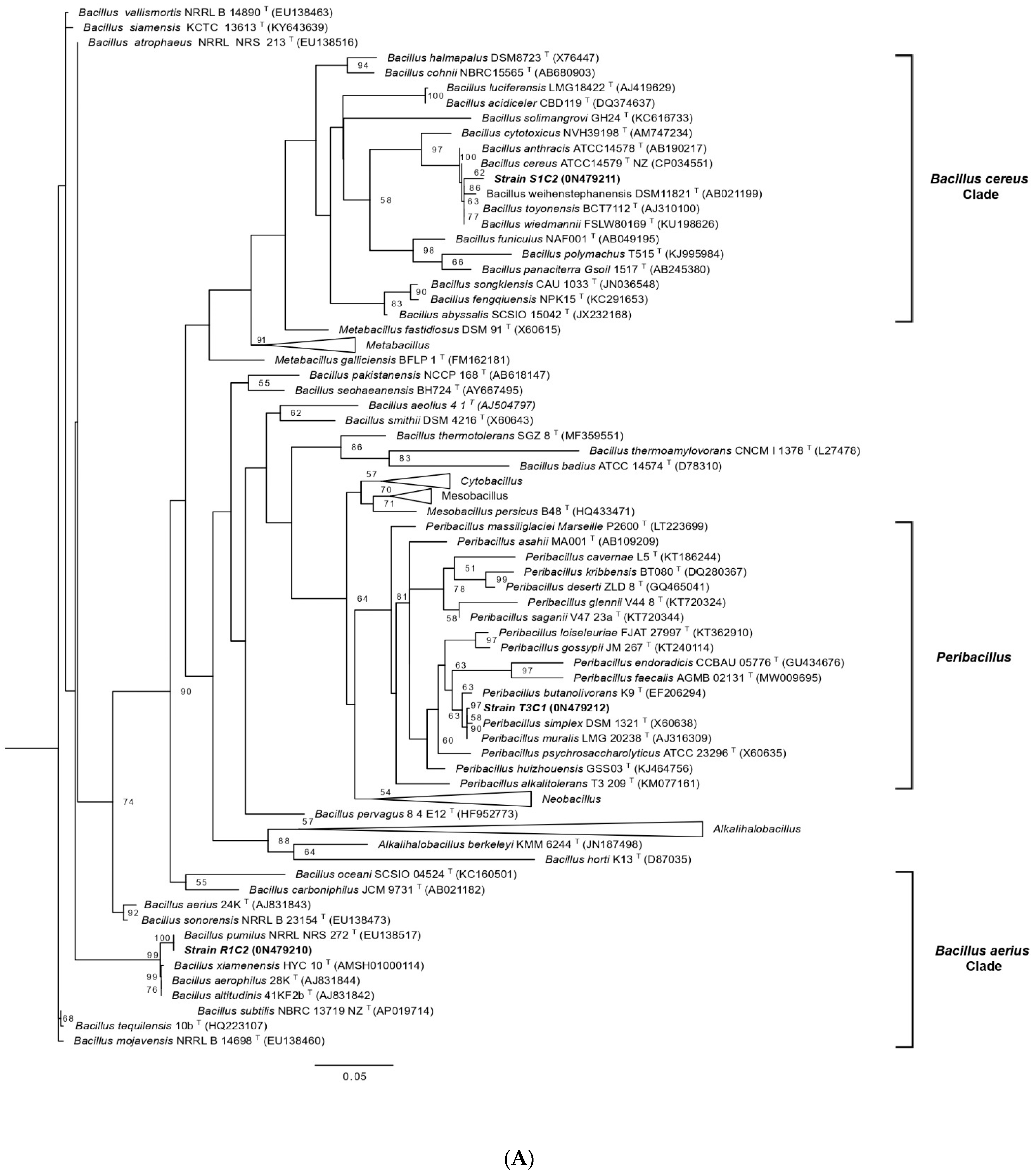 Microorganisms 10 02108 g002a