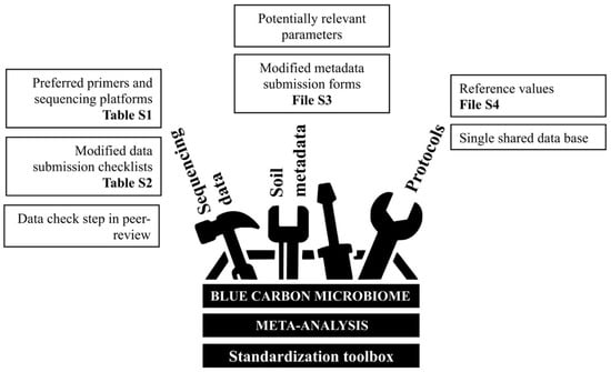 Understanding blue carbon