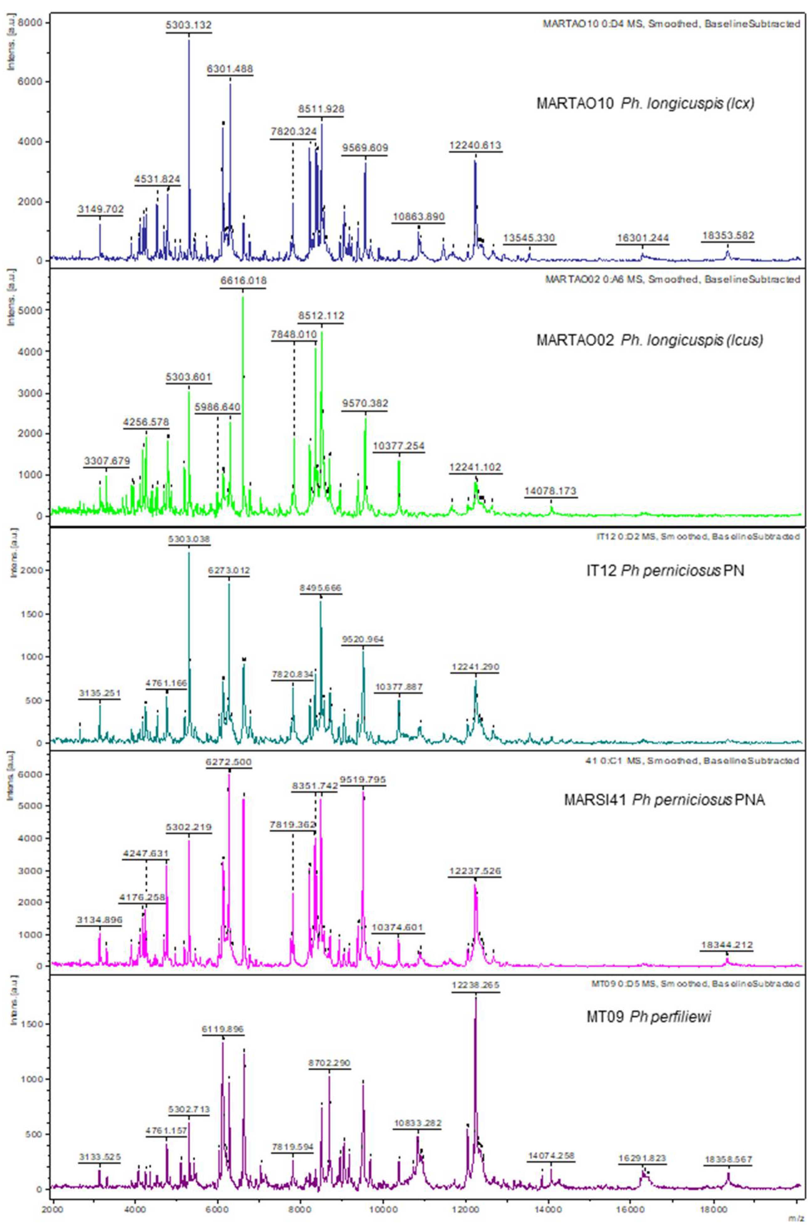 Microorganisms 10 02135 g002 Microorganisms 10 02135 g002