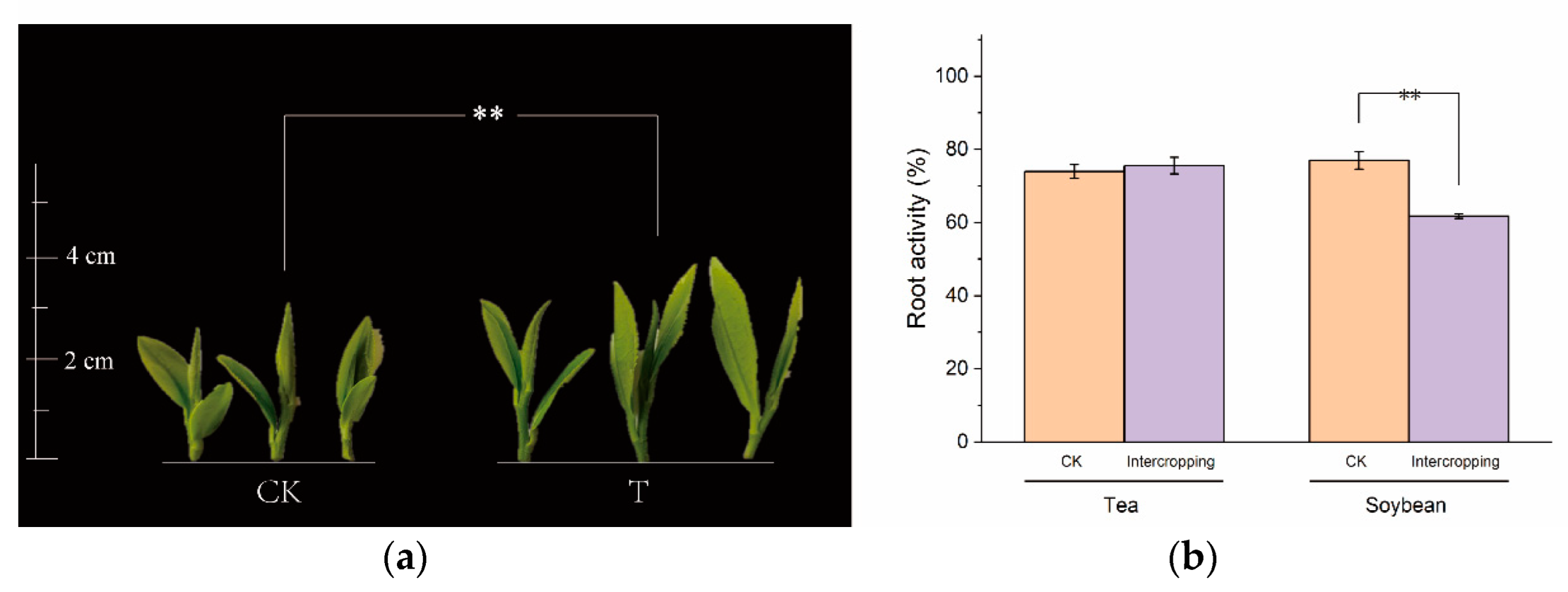 Microorganisms 10 02149 g001