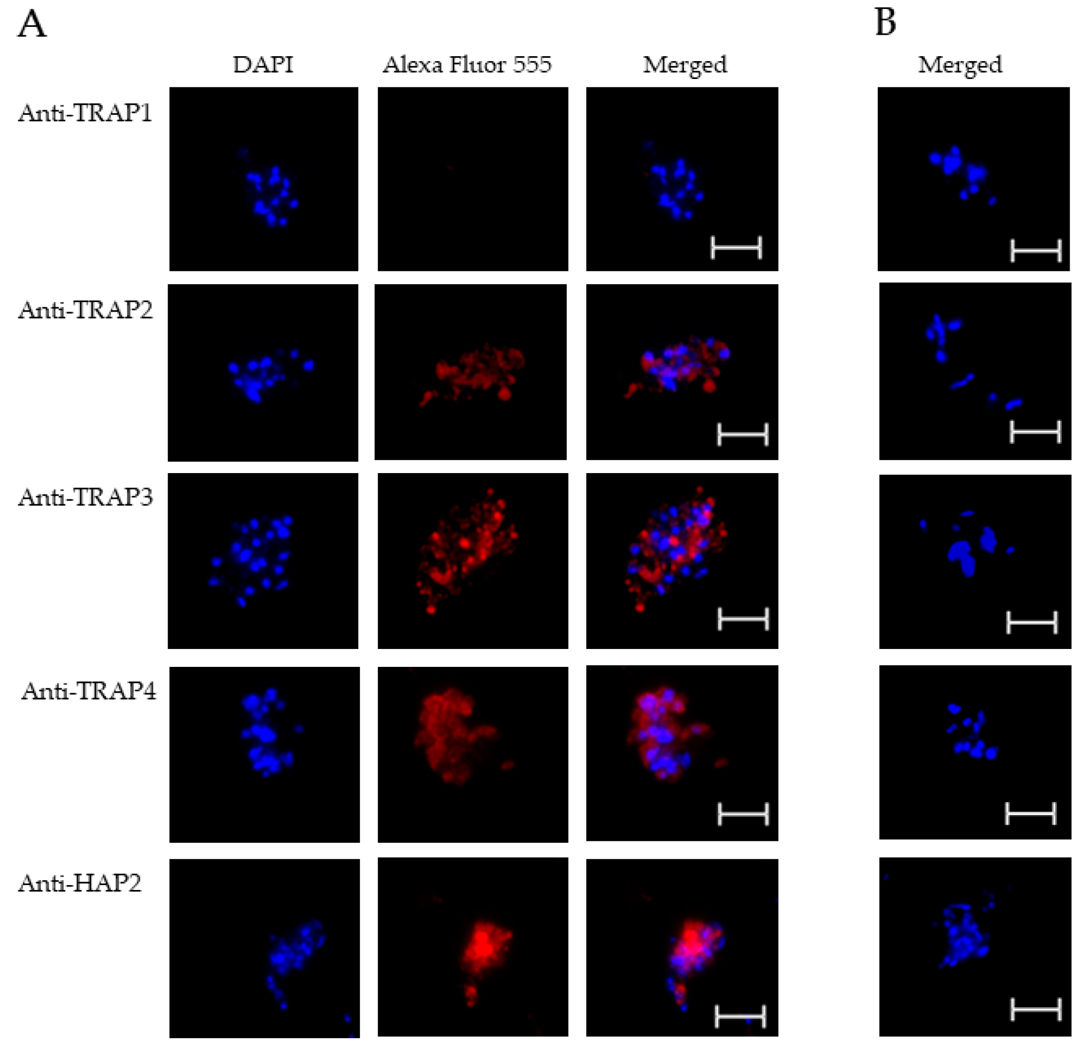 Microorganisms 10 02173 g003 Microorganisms 10 02173 g003
