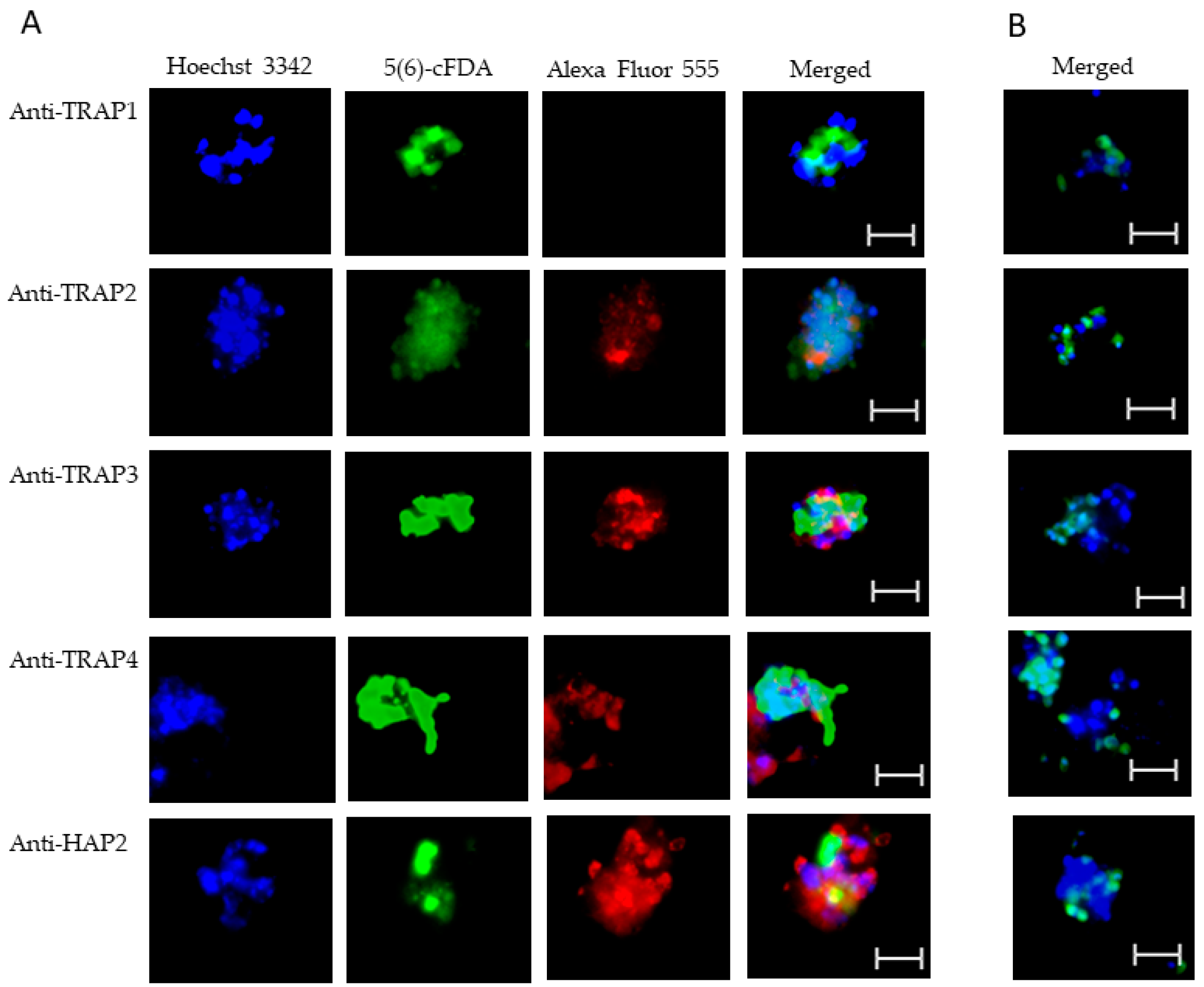 Microorganisms 10 02173 g006 Microorganisms 10 02173 g006