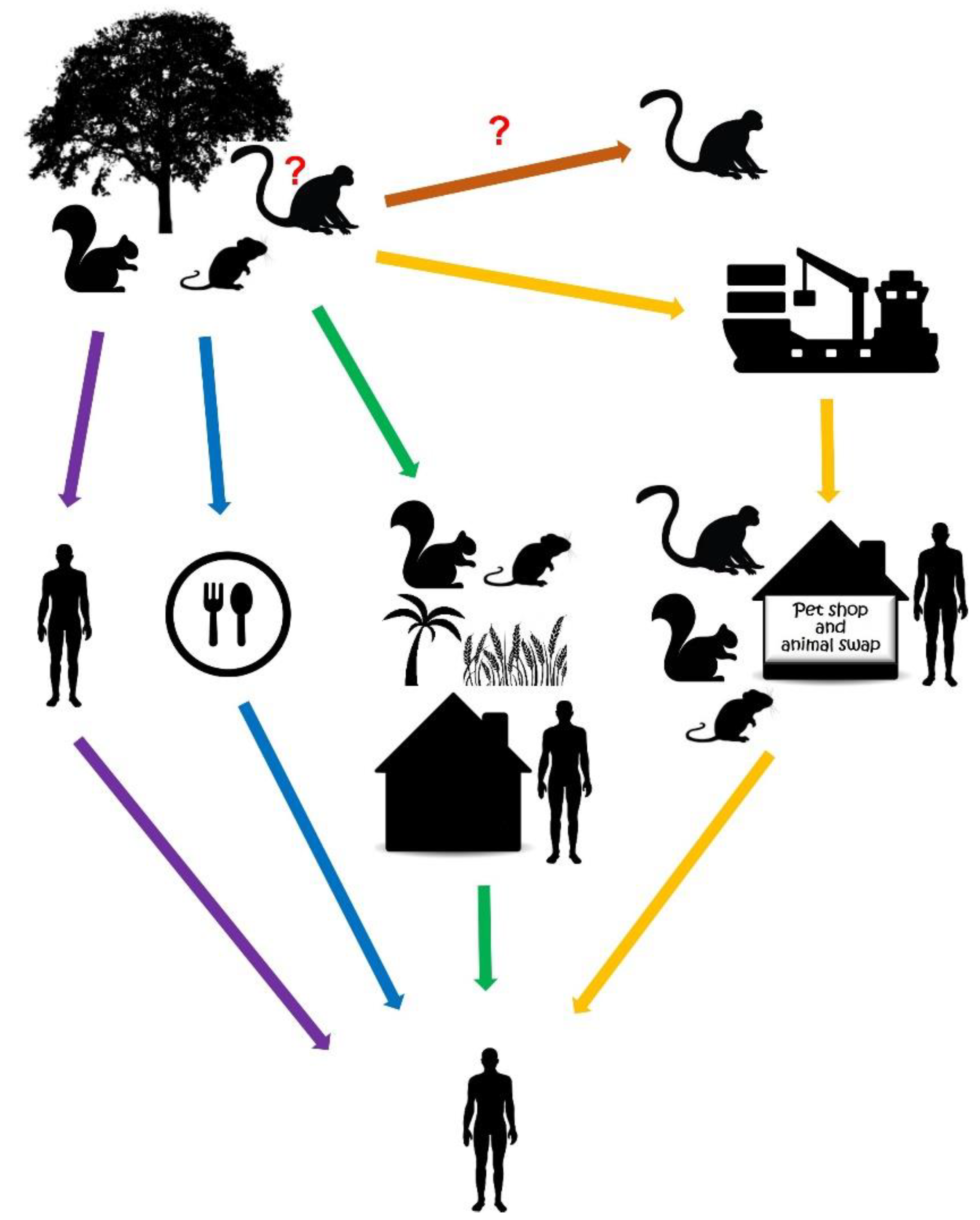 Evidence of human-to-dog transmission of monkeypox virus - The Lancet