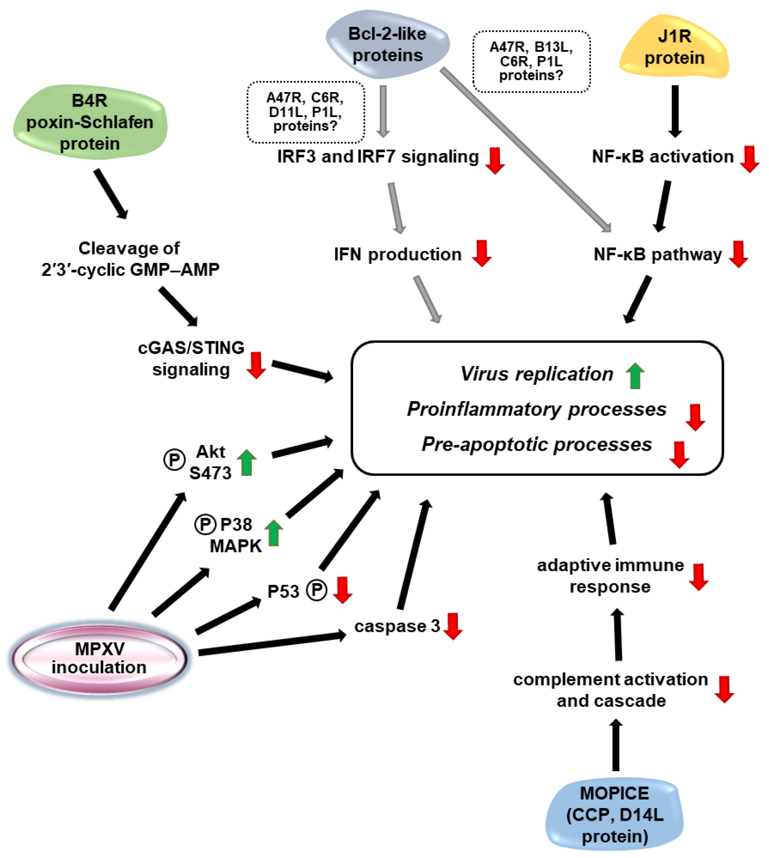Microorganisms 10 02192 g003 Microorganisms 10 02192 g003