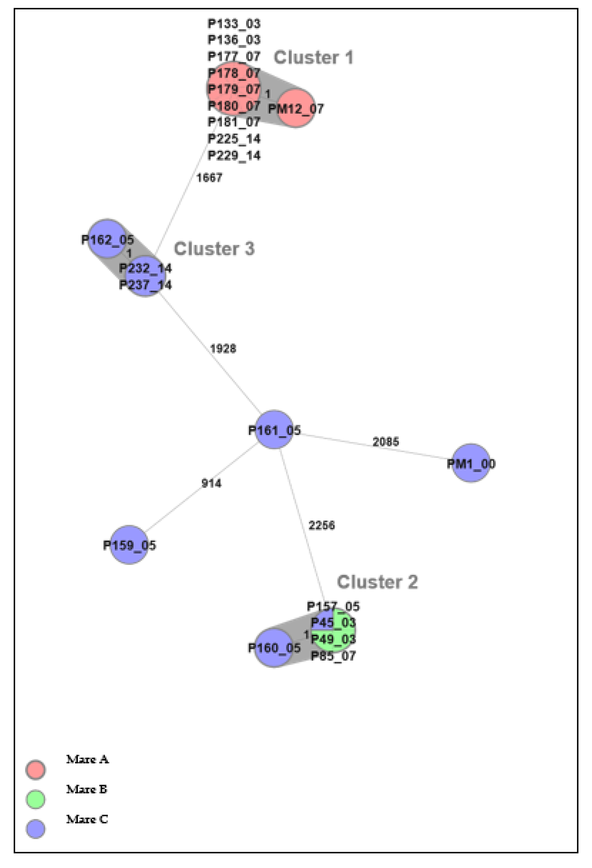 Microorganisms 10 02204 g003