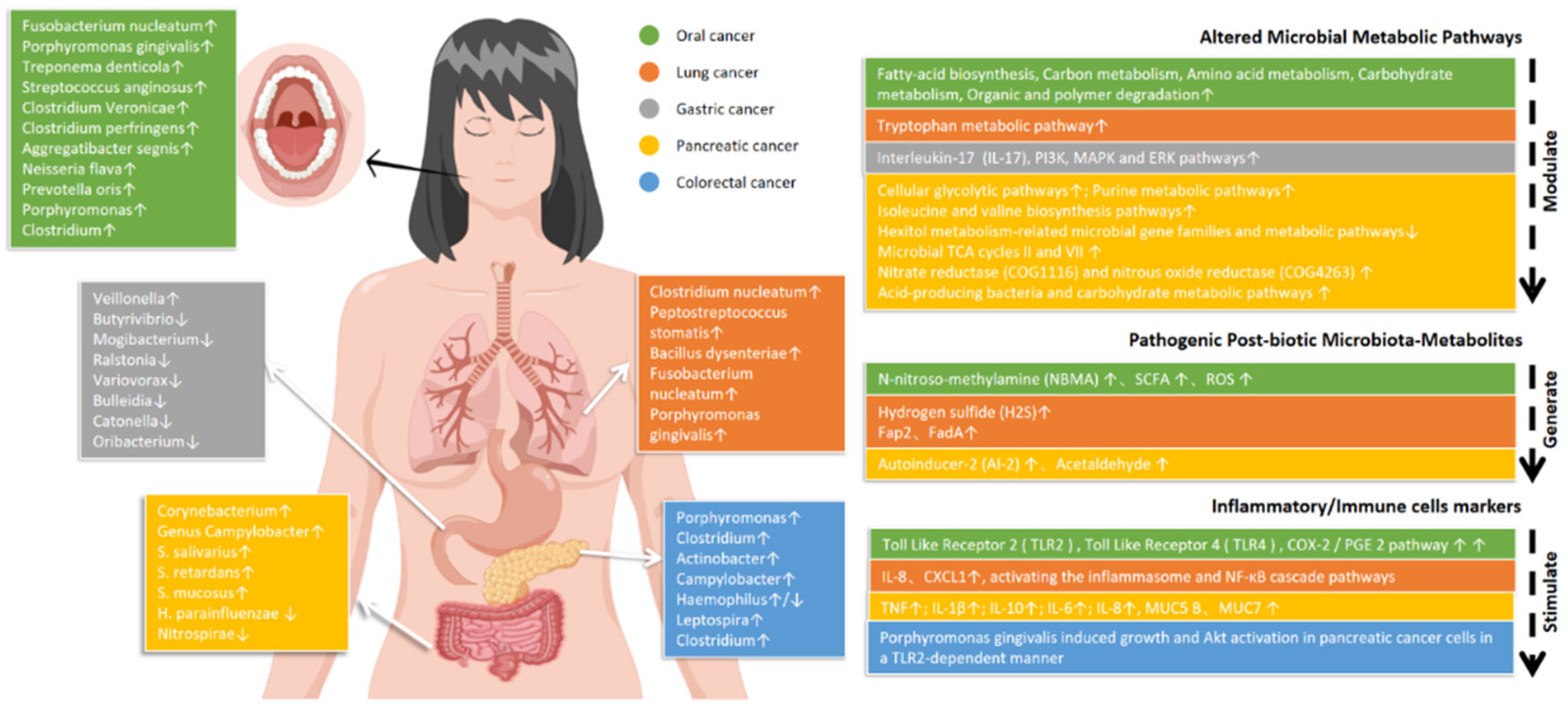 Microorganisms 10 02206 g001 Microorganisms 10 02206 g001