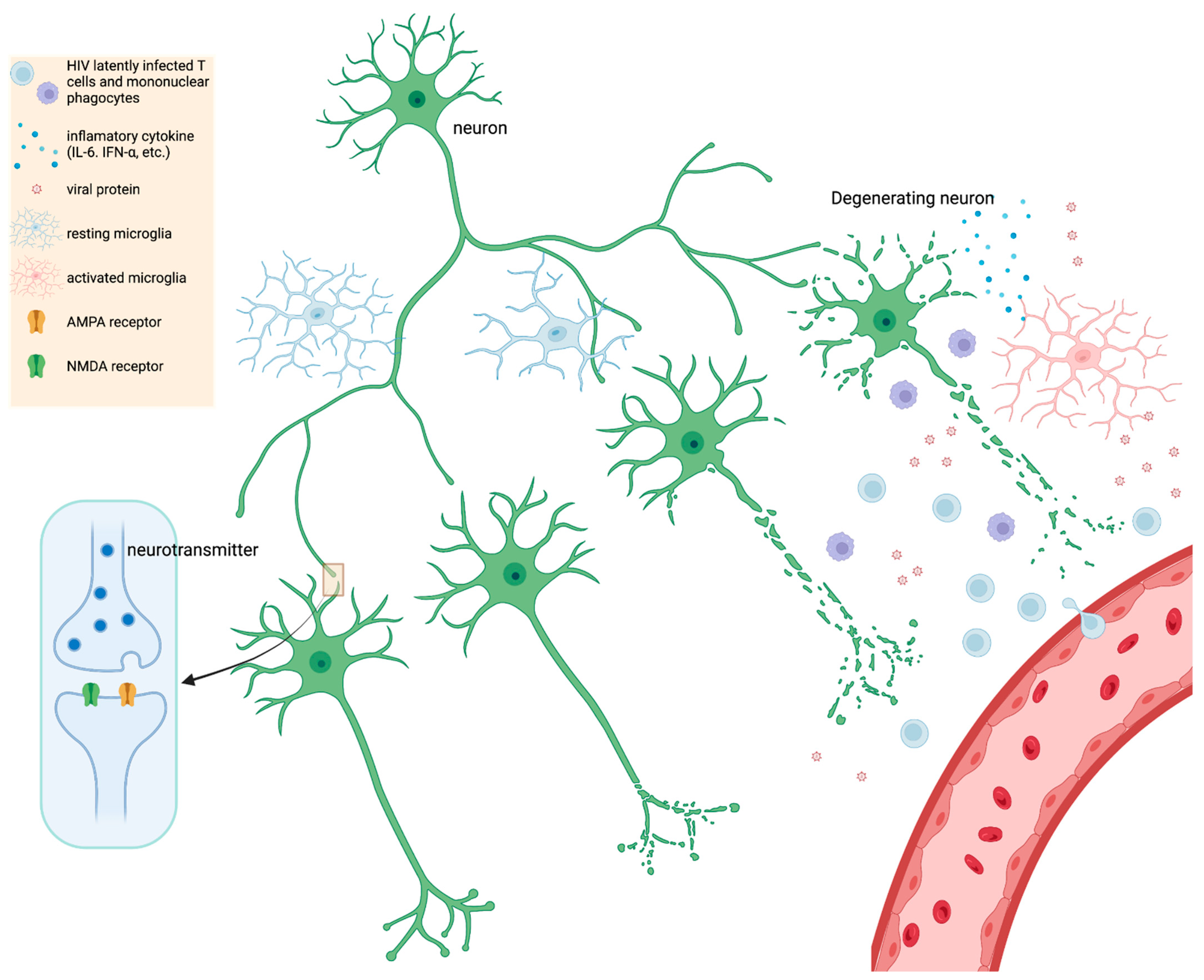 Microorganisms | Free Full-Text | A Rationale and Approach to the  Development of Specific Treatments for HIV Associated Neurocognitive  Impairment