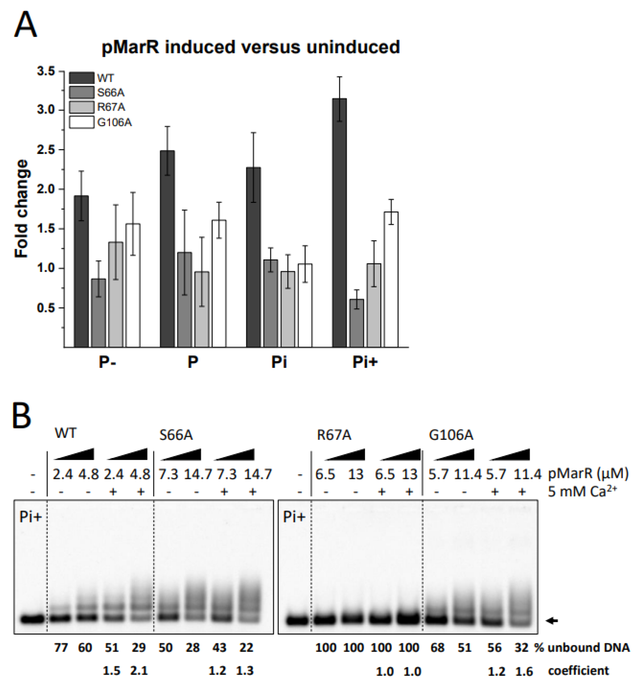 Microorganisms 10 02245 g003