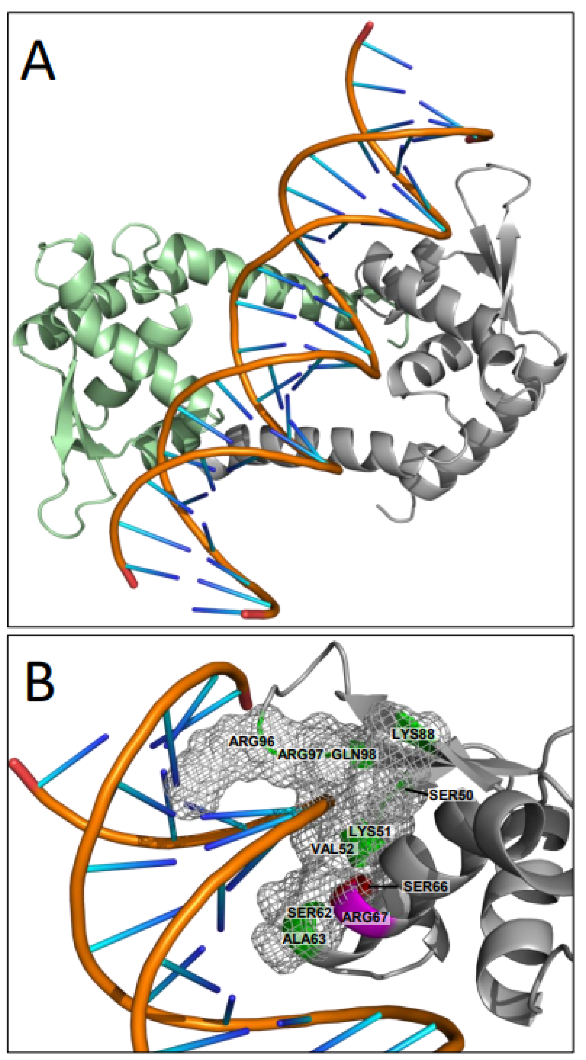 Microorganisms 10 02245 g004