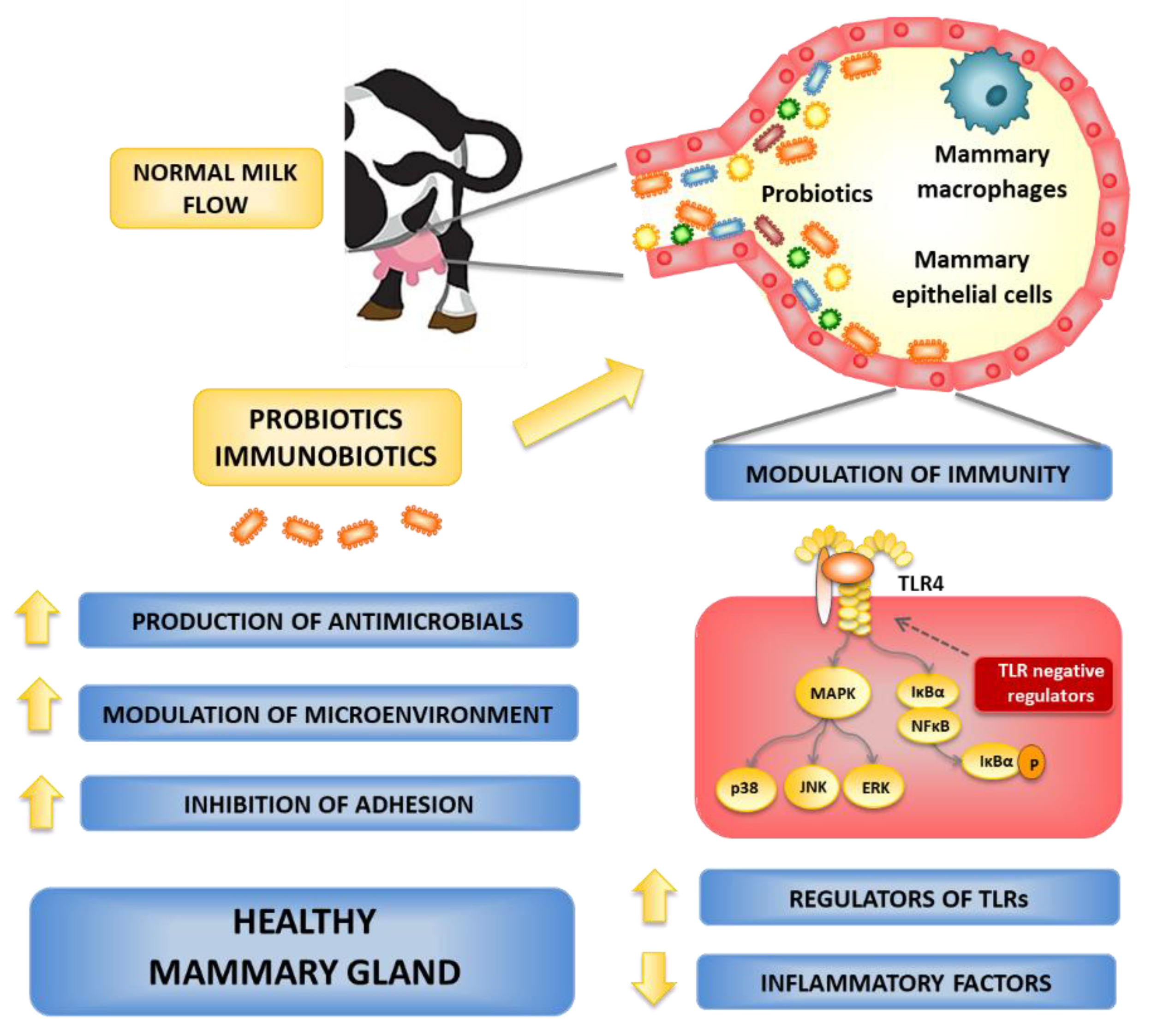 Microorganisms 10 02255 g002